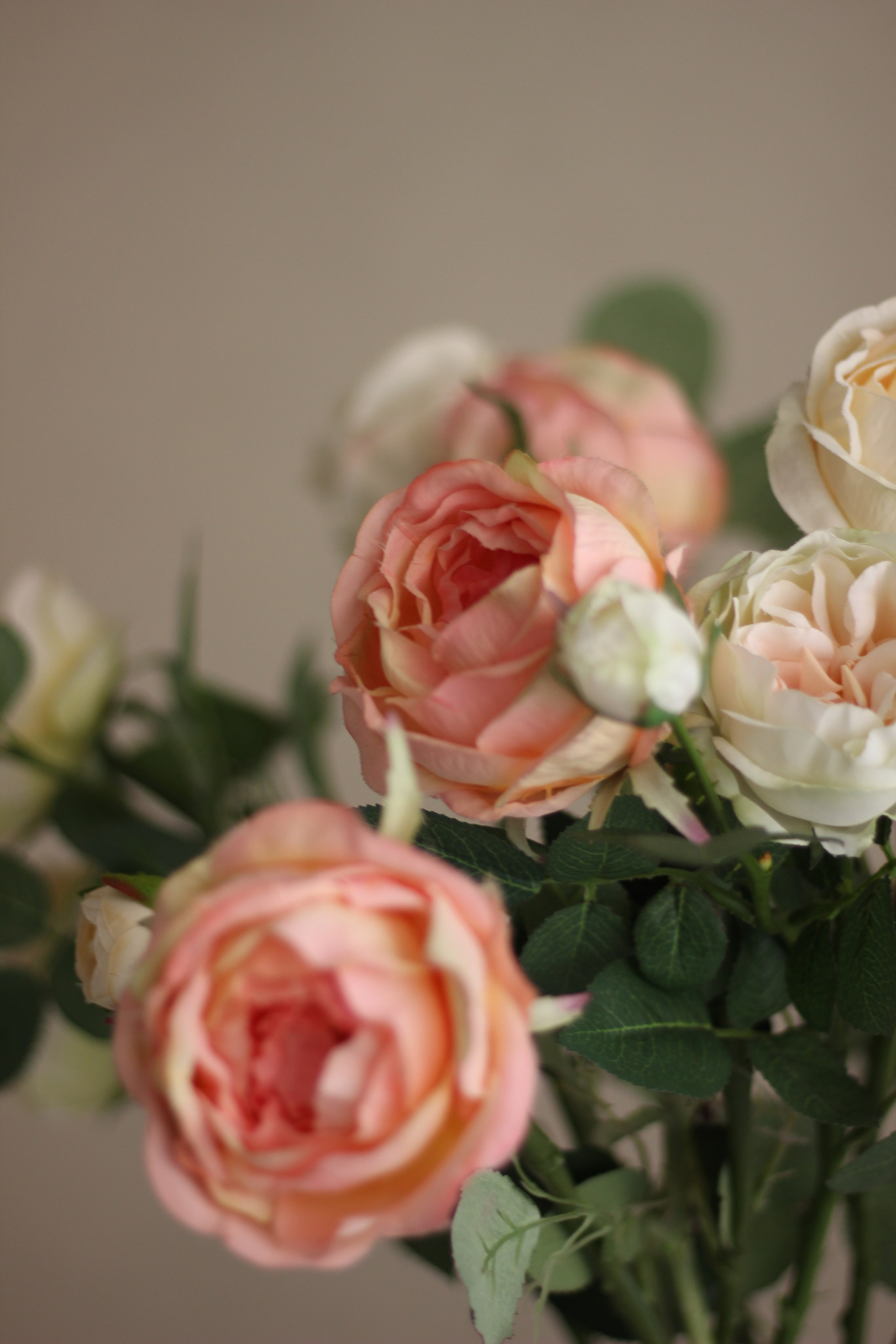 Фотосессия в новой, для меня, фотостудии — ART-ХОЛЛ. Фотограф Красноярск