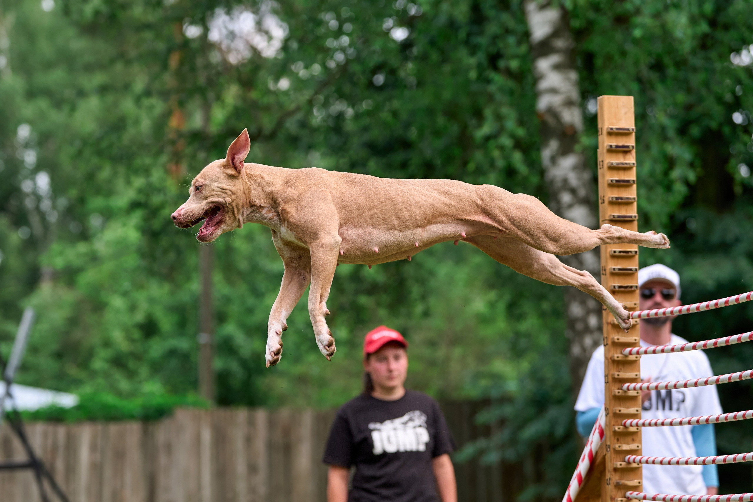 Двухдневные соревнования «Jump'n'Gym Fest — 2024». Фотограф-анималист Михаил Манухин