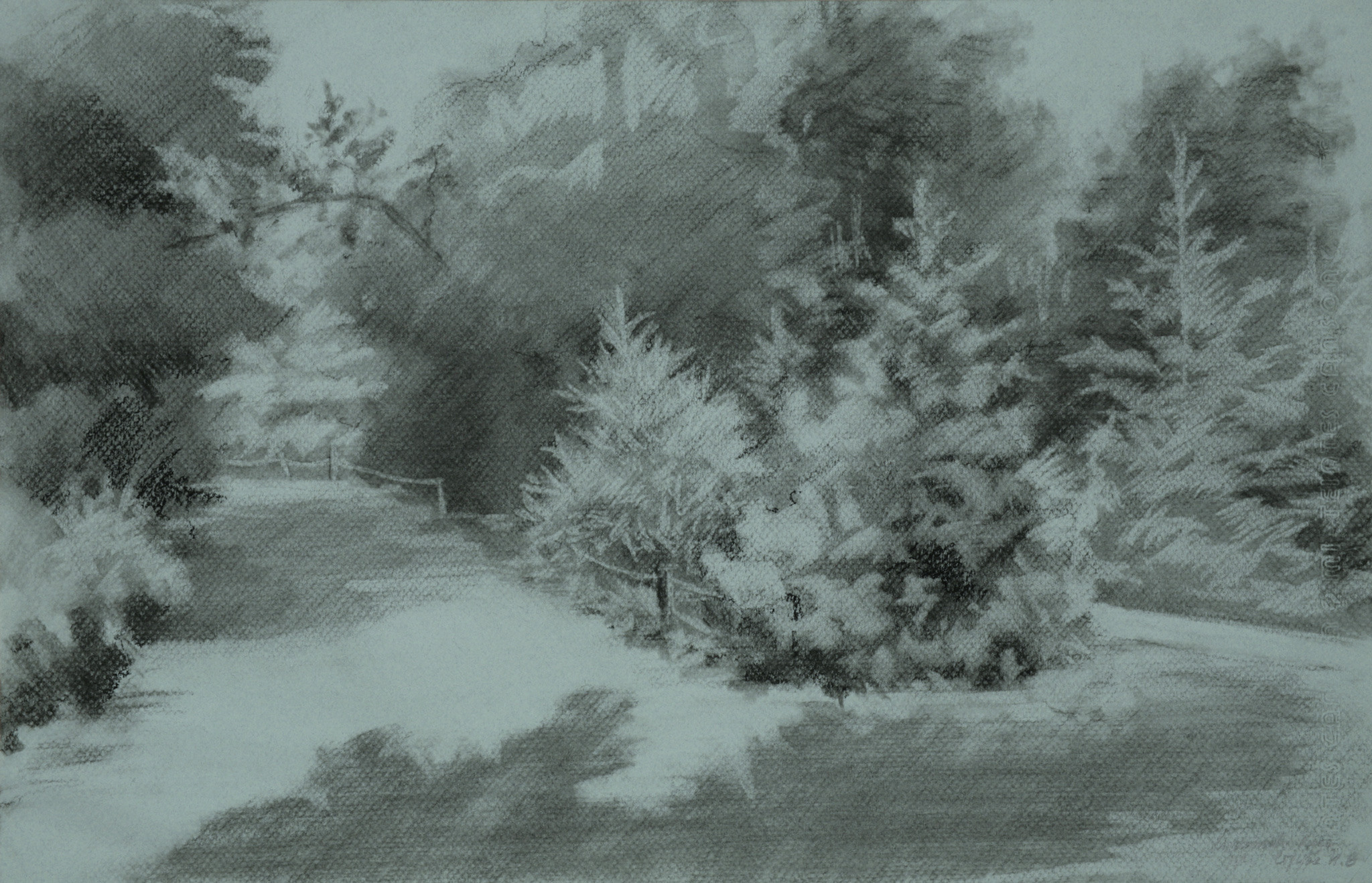 Колесникова Елизавета. Тонированная бумага, уголь.