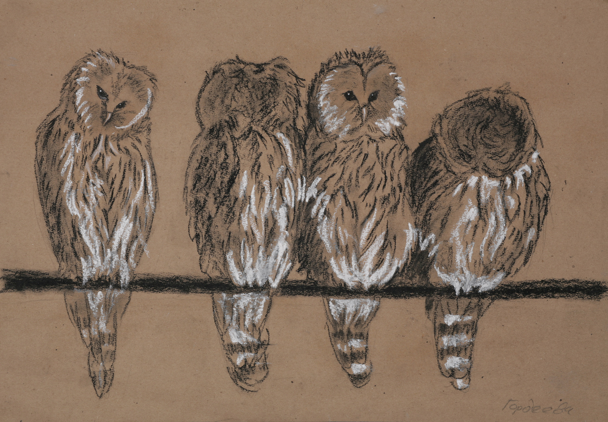 Гордеева Людмила. Крафт, уголь, мел.