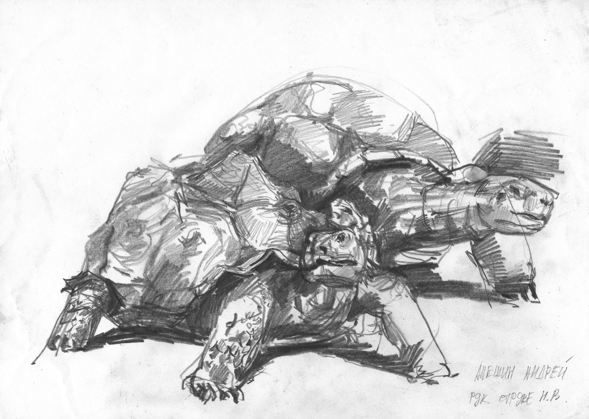 Алёшин Андрей. Бумага, карандаш.