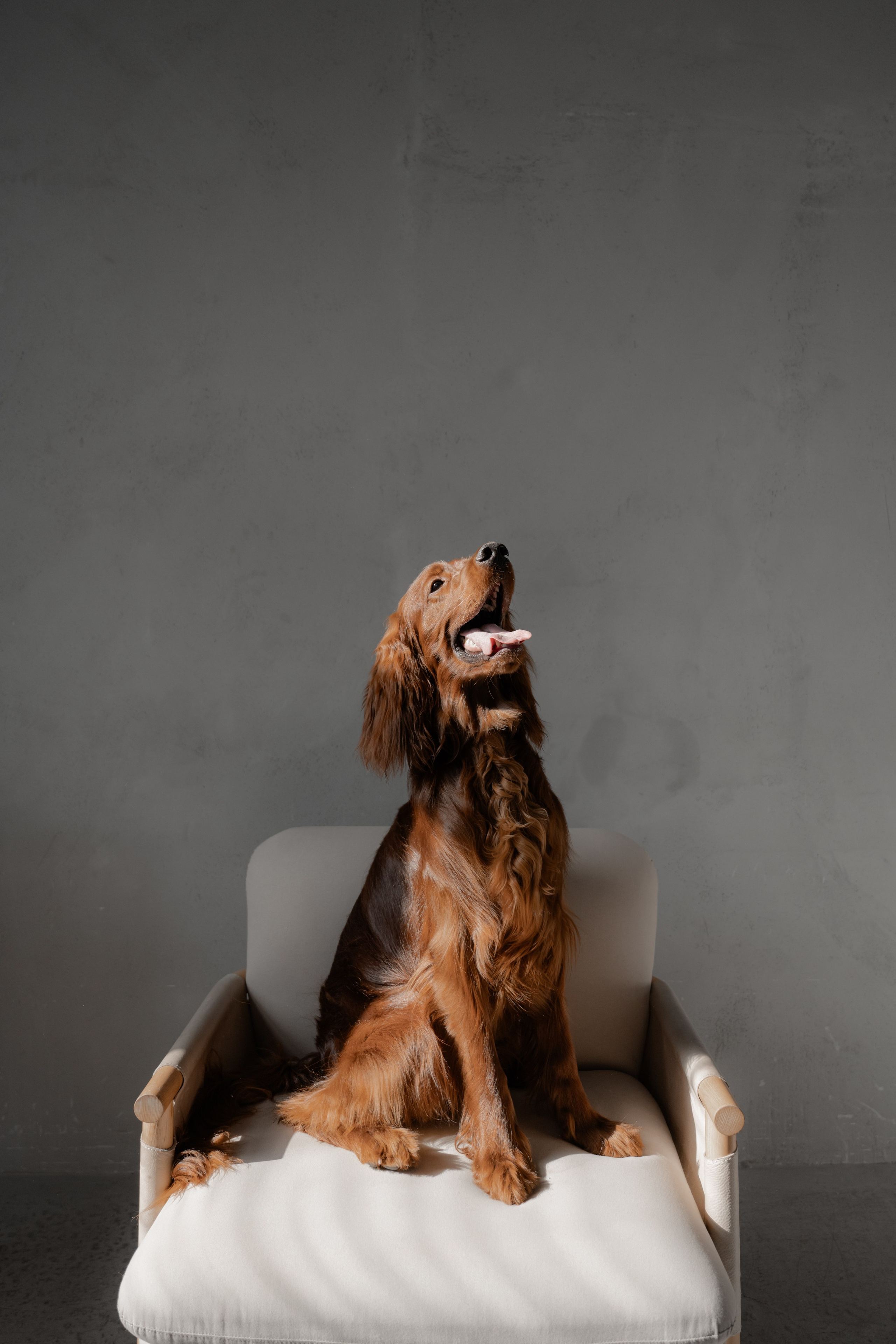 Фотосессия Миры и Саши. Фотограф в Москве