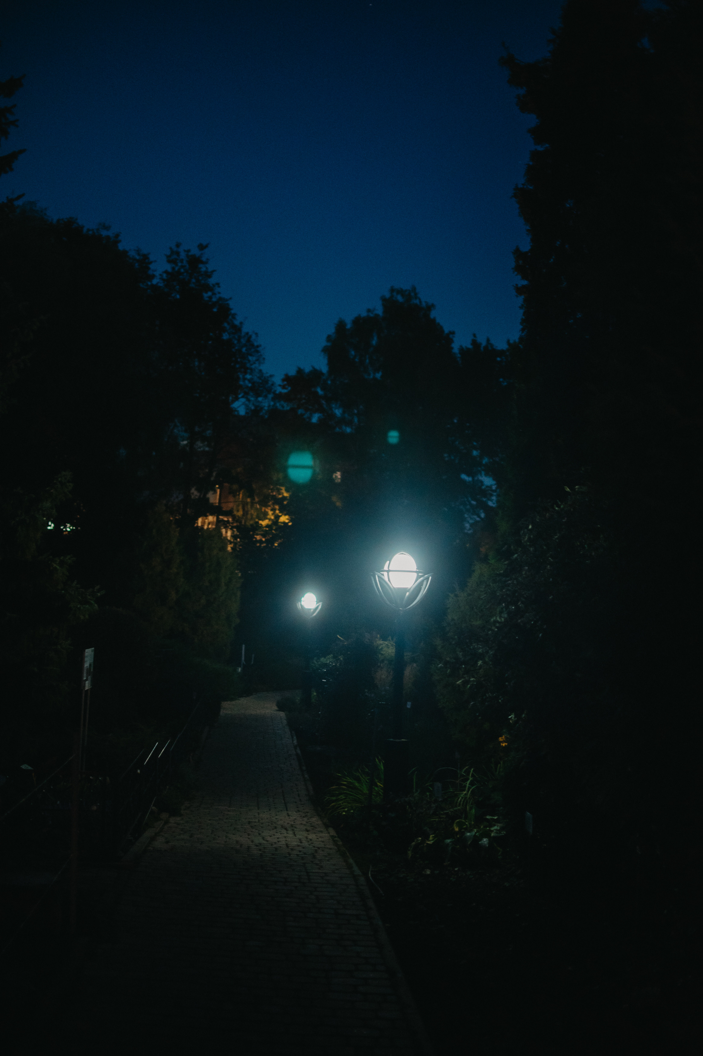 Музыкальный сад арт комьюнити «ветер». Контент фотограф Илья Урс