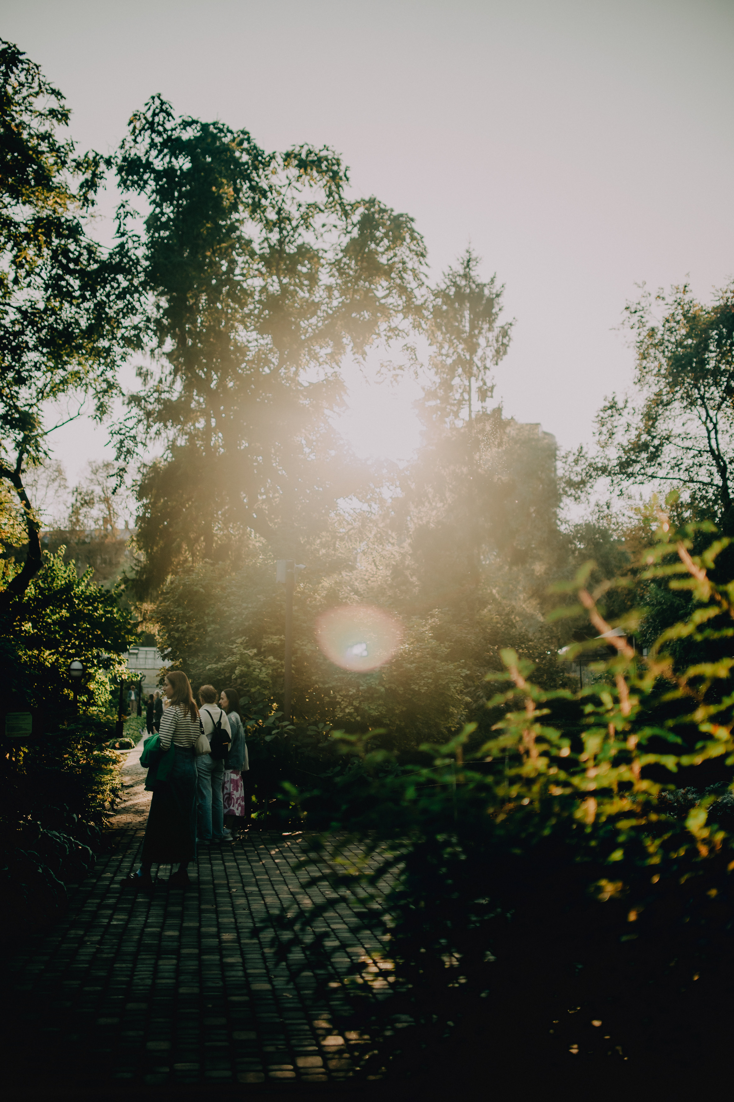 Музыкальный сад арт комьюнити «ветер». Контент фотограф Илья Урс