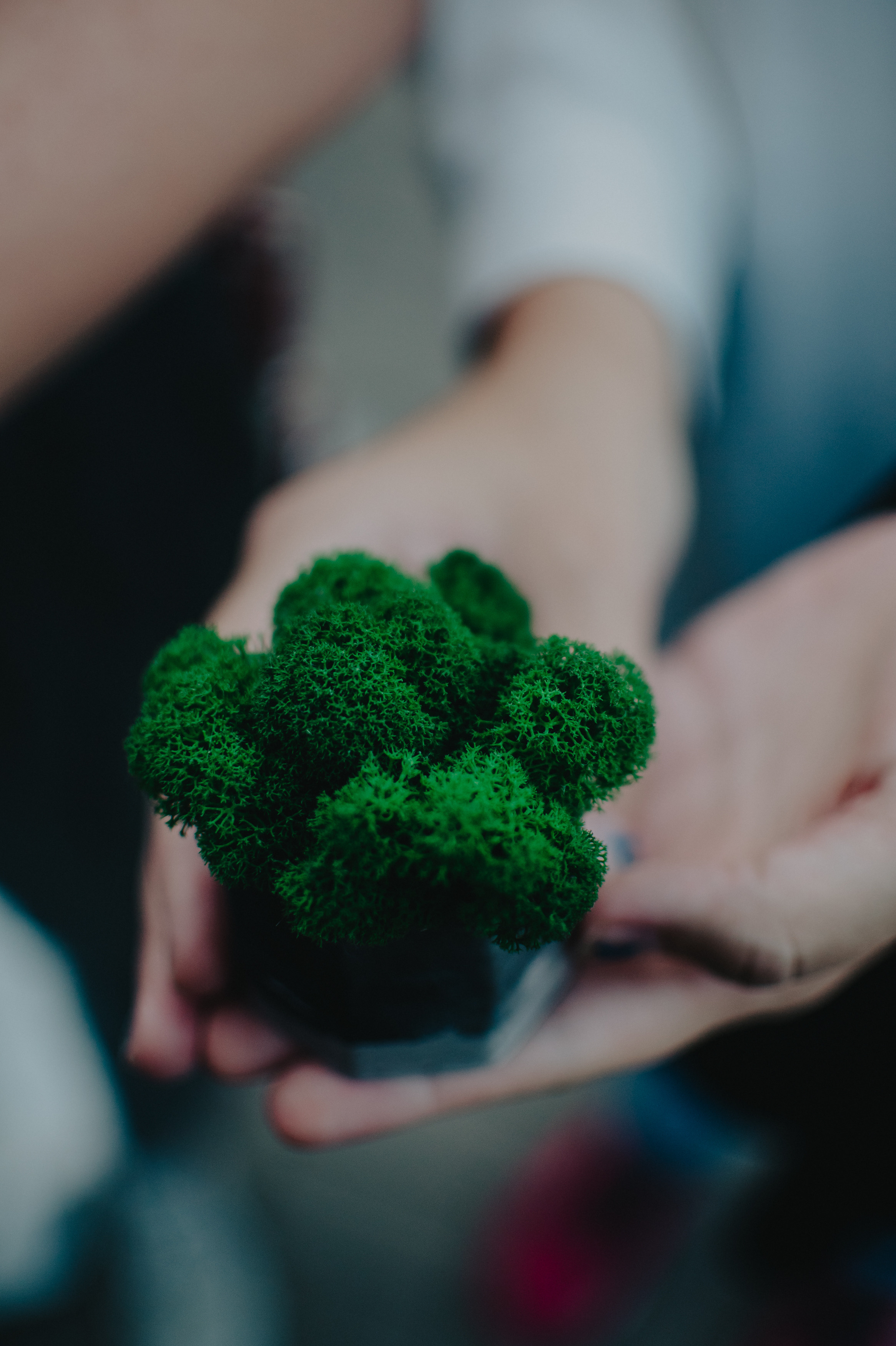 Музыкальный сад арт комьюнити «ветер». Контент фотограф Илья Урс