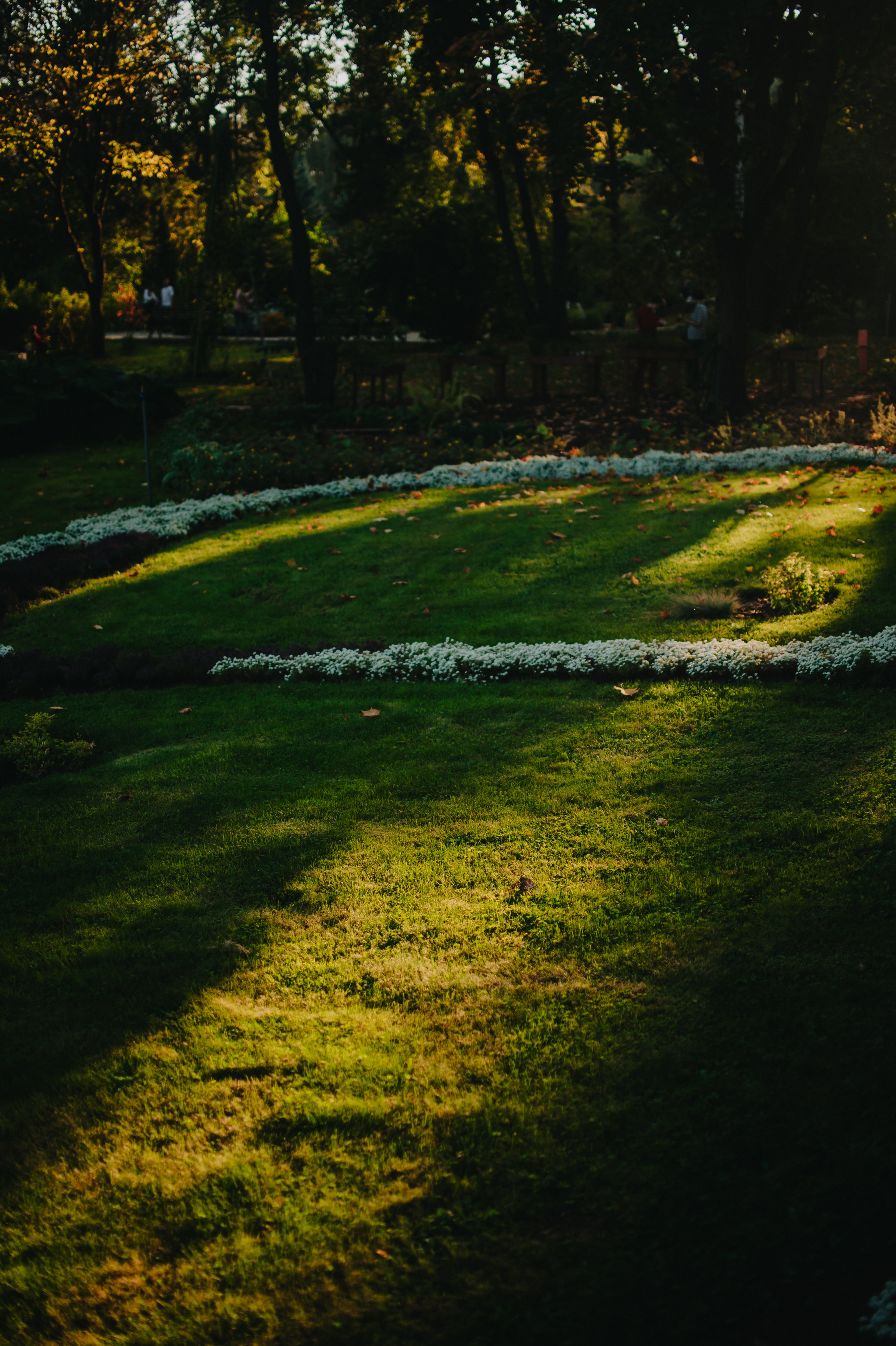 Музыкальный сад арт комьюнити «ветер». Контент фотограф Илья Урс