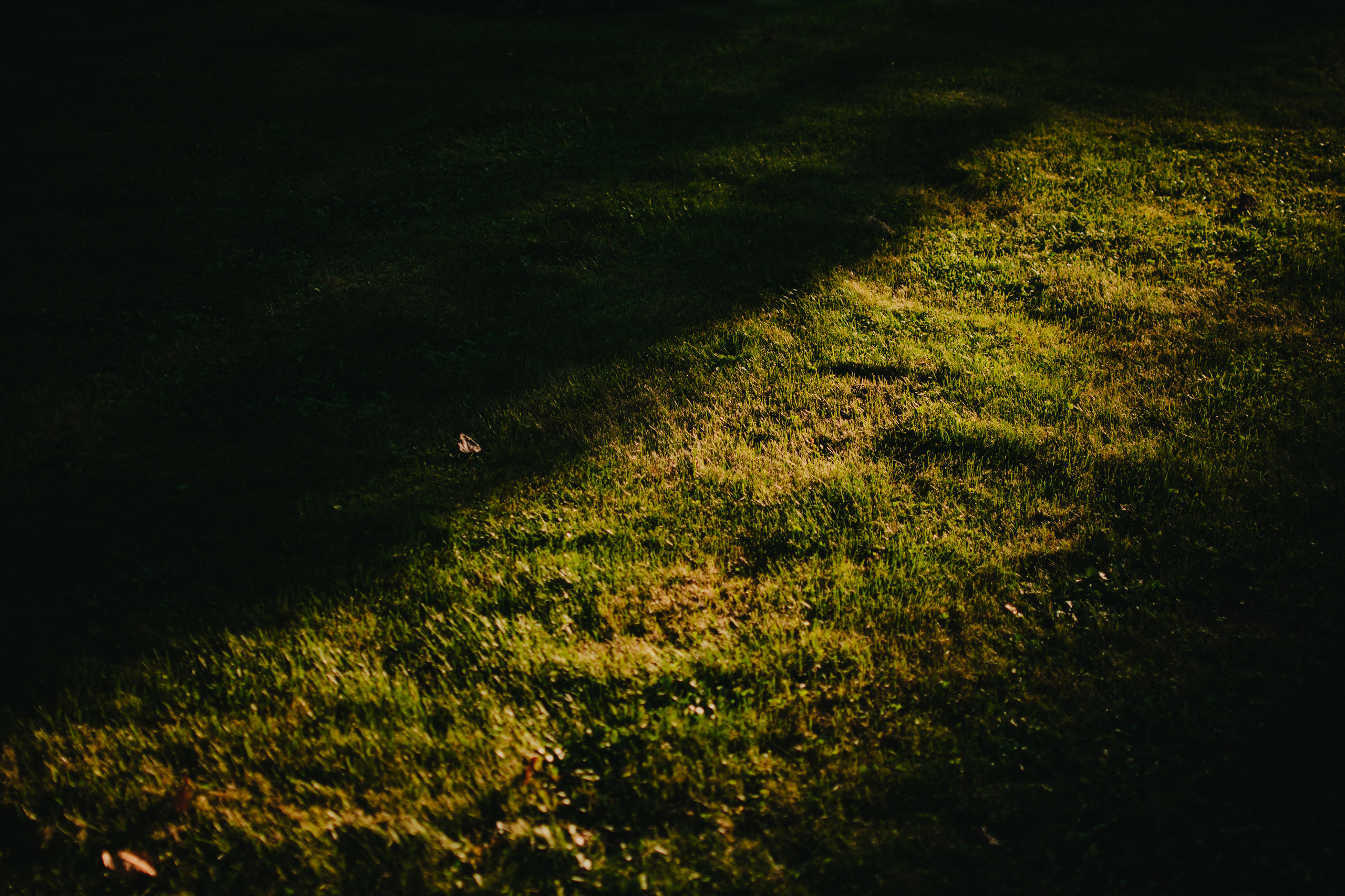 Музыкальный сад арт комьюнити «ветер». Контент фотограф Илья Урс