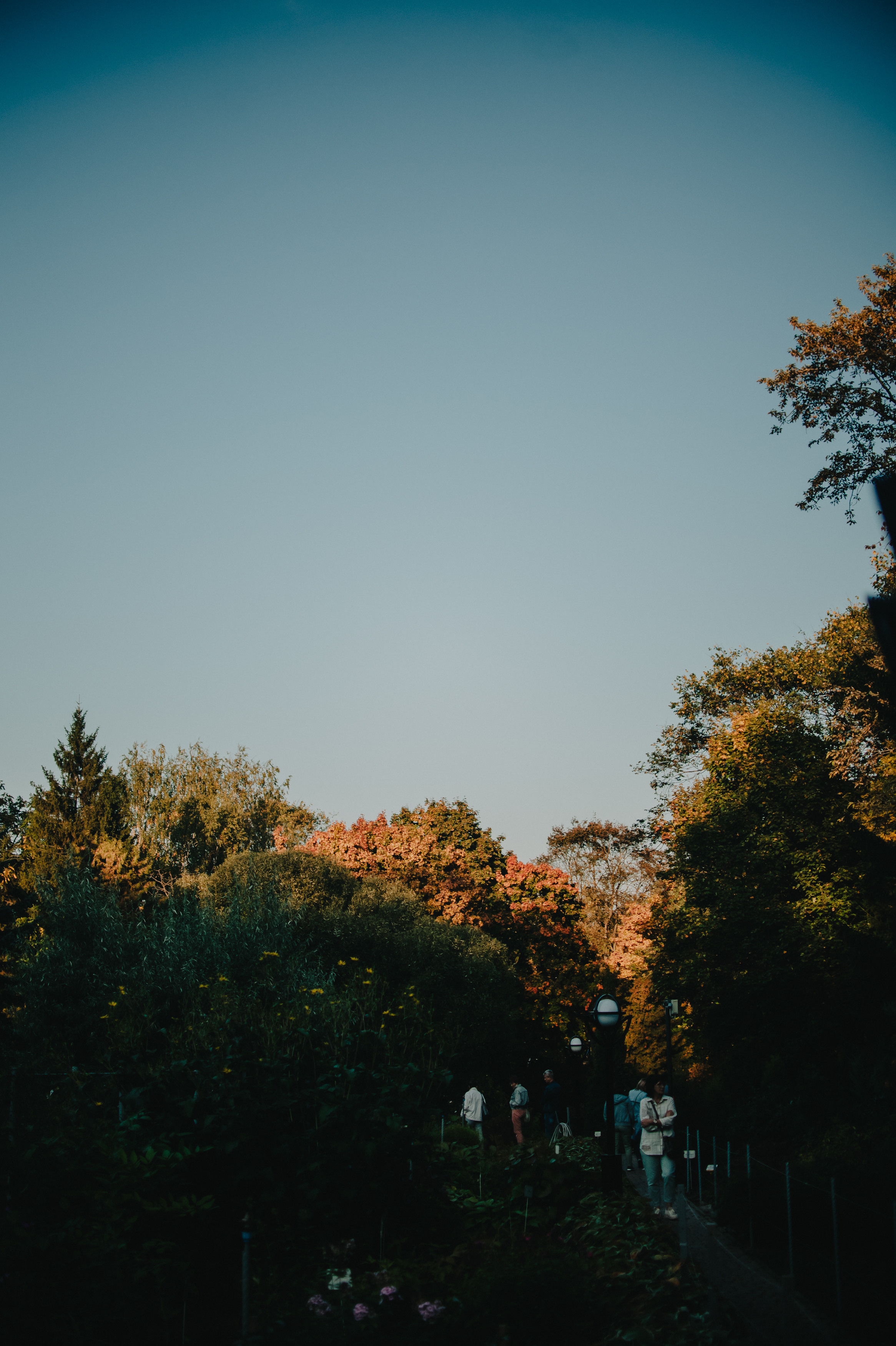 Музыкальный сад арт комьюнити «ветер». Контент фотограф Илья Урс