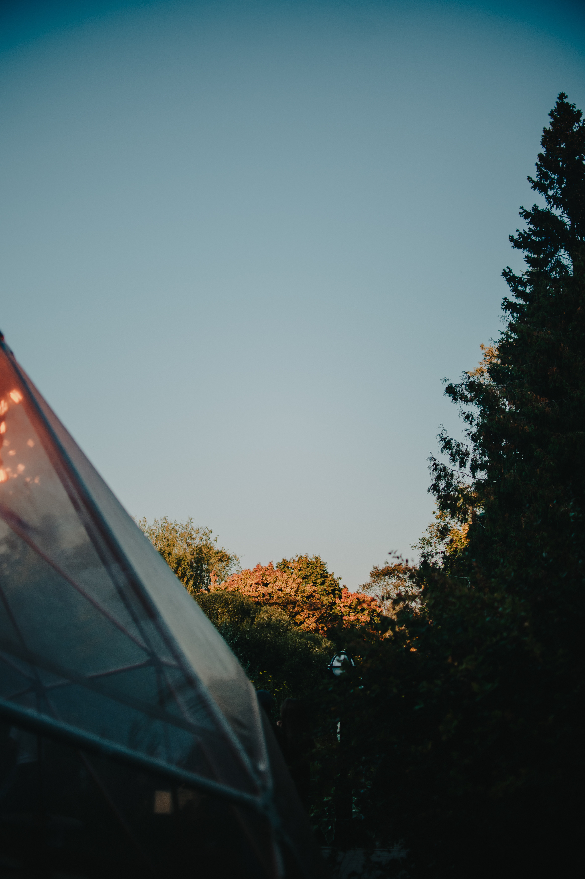 Музыкальный сад арт комьюнити «ветер». Контент фотограф Илья Урс