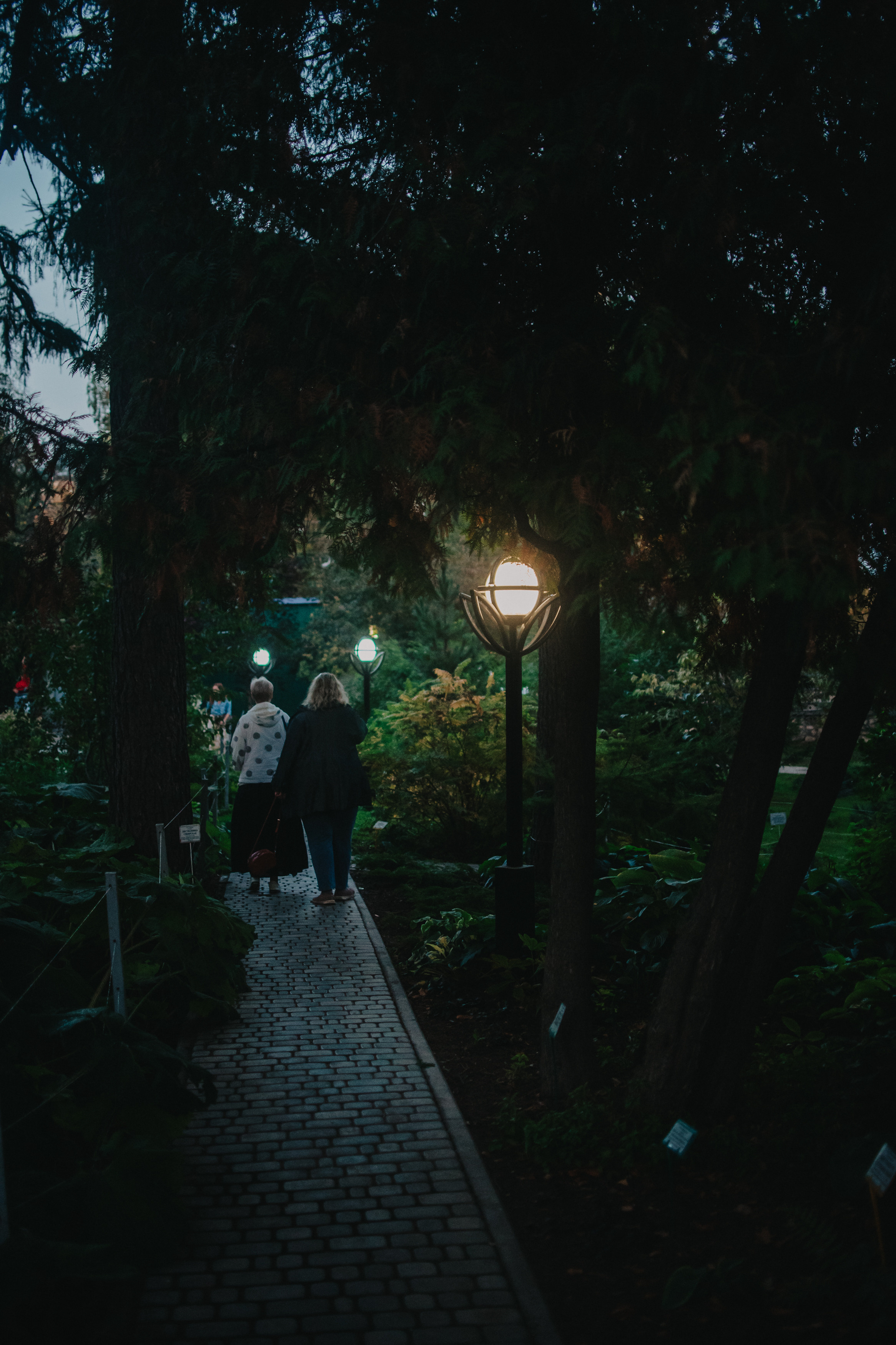 Музыкальный сад арт комьюнити «ветер». Контент фотограф Илья Урс