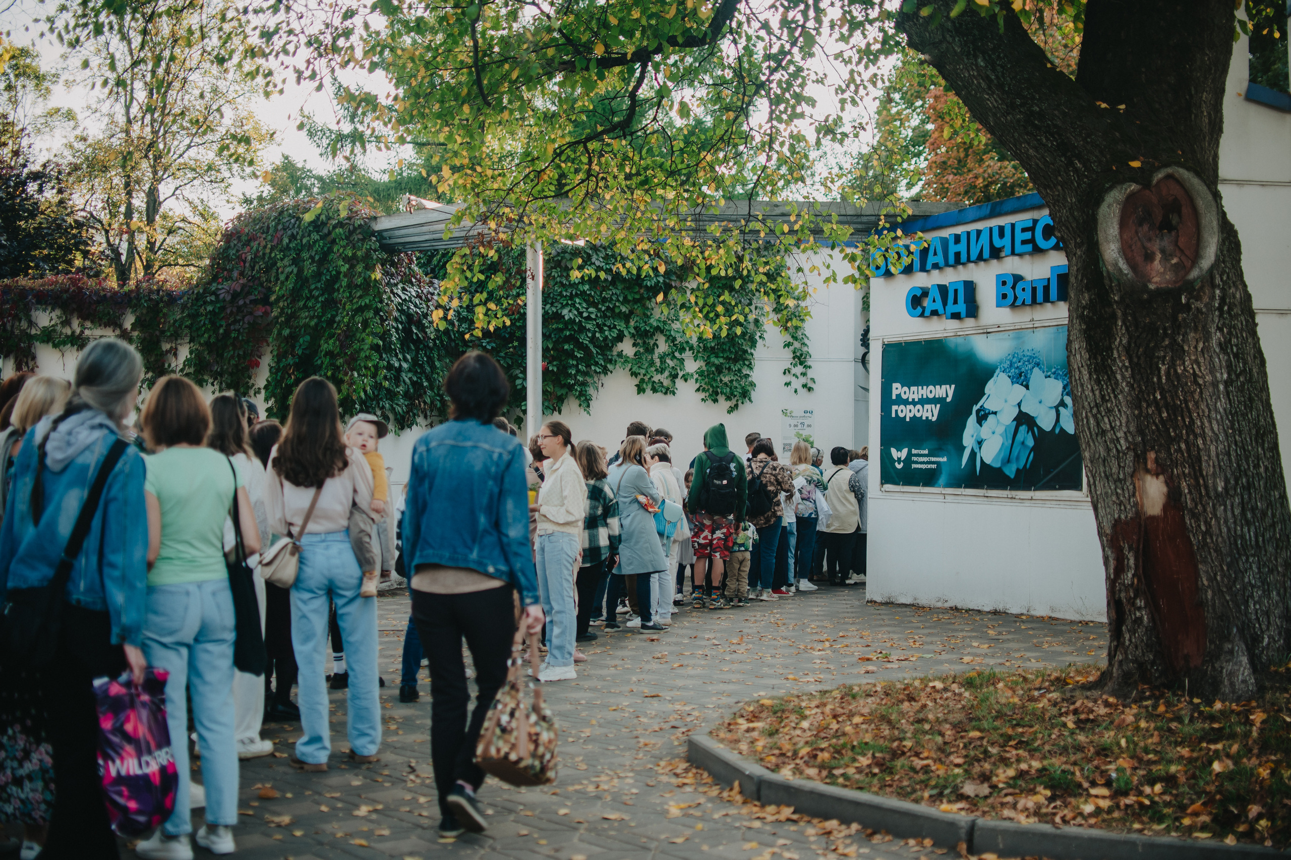 Музыкальный сад арт комьюнити «ветер». Контент фотограф Илья Урс