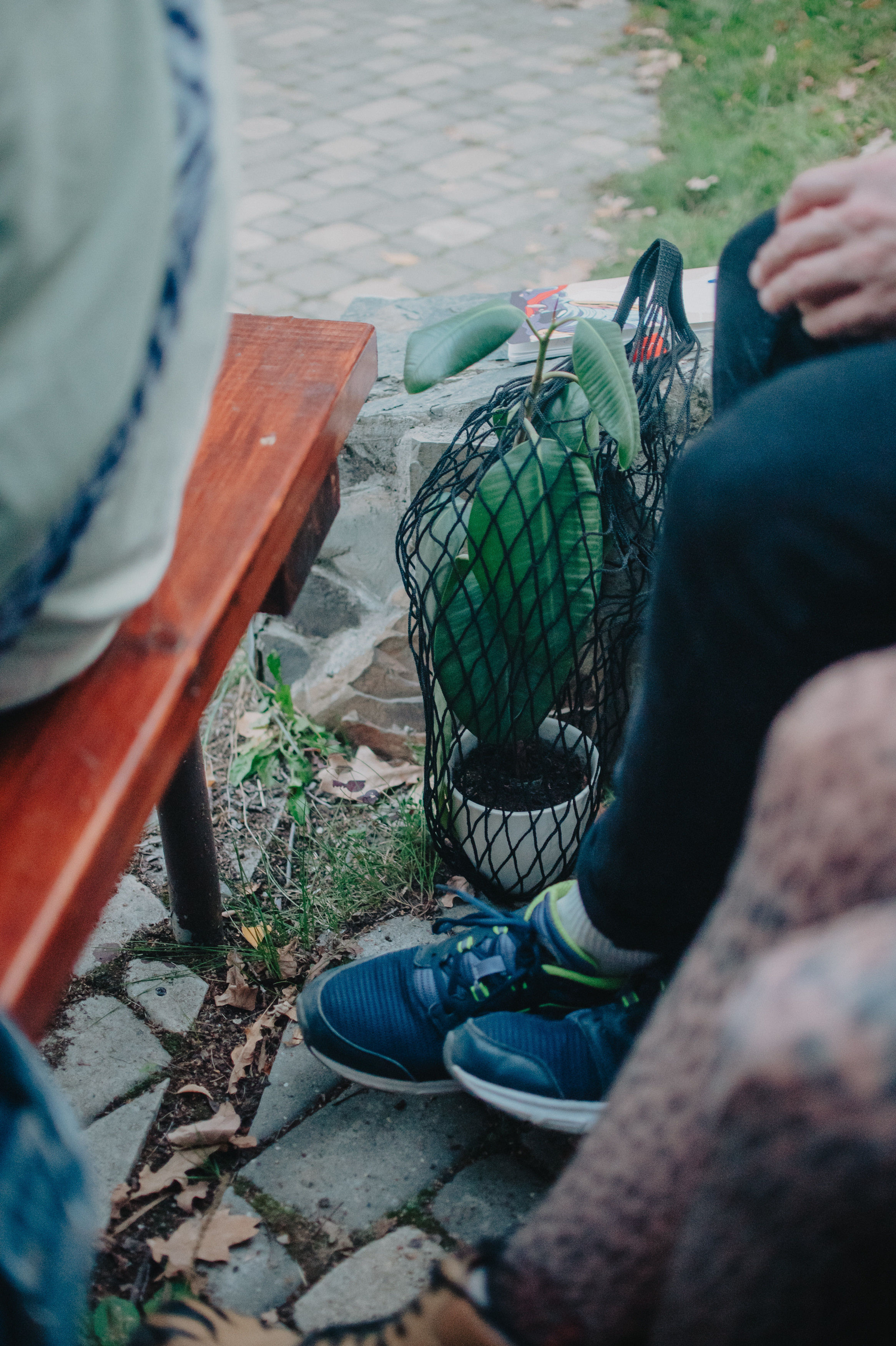 Музыкальный сад арт комьюнити «ветер». Контент фотограф Илья Урс