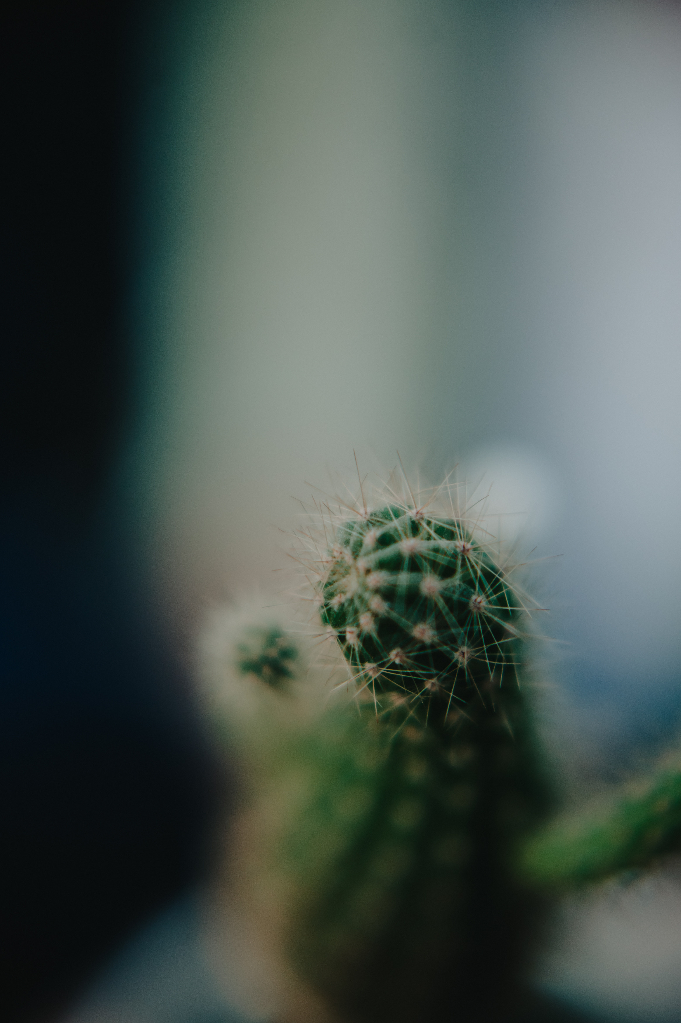 Музыкальный сад арт комьюнити «ветер». Контент фотограф Илья Урс