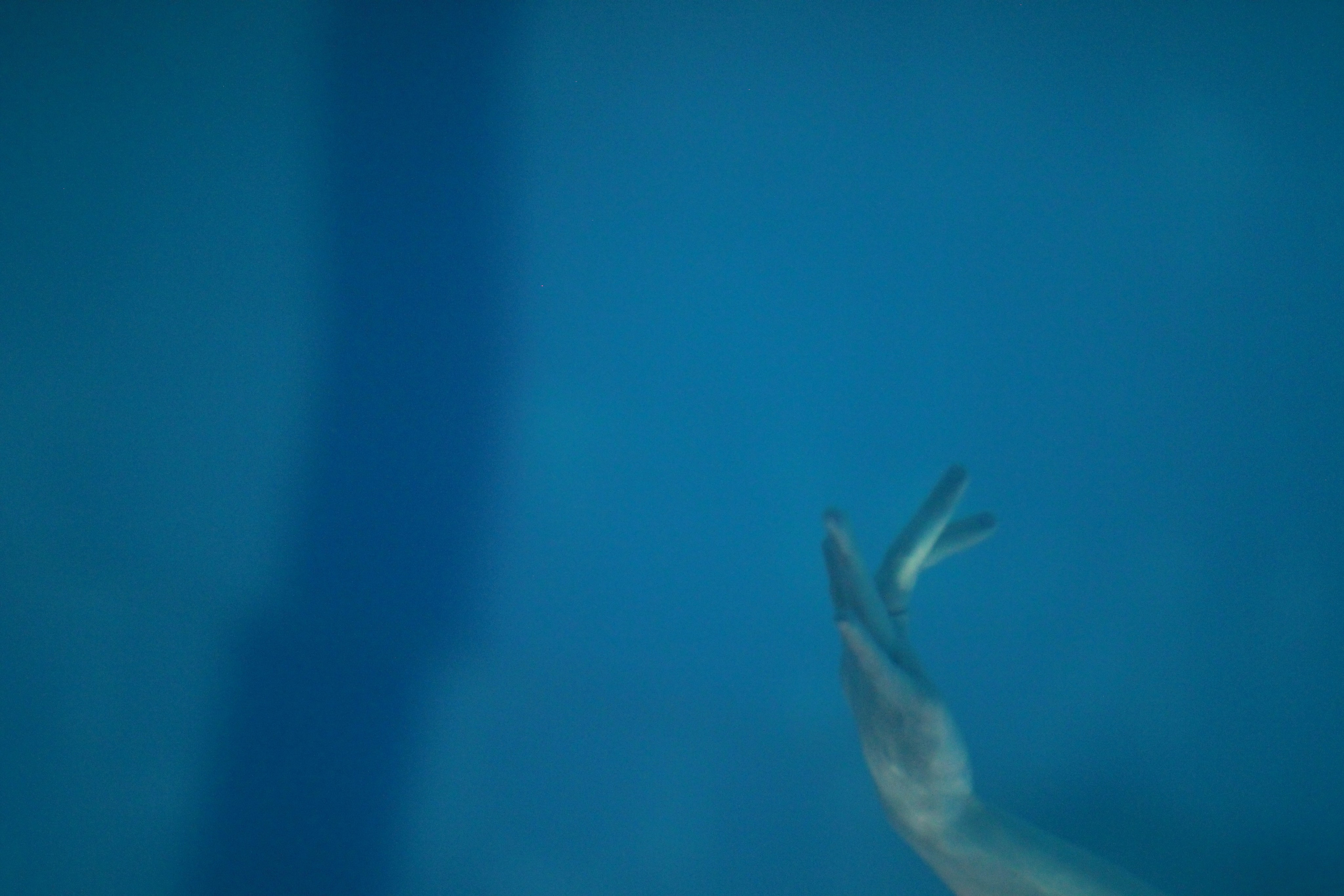 The Birth of man — a meteor. Svetlana Verkhovetskaya