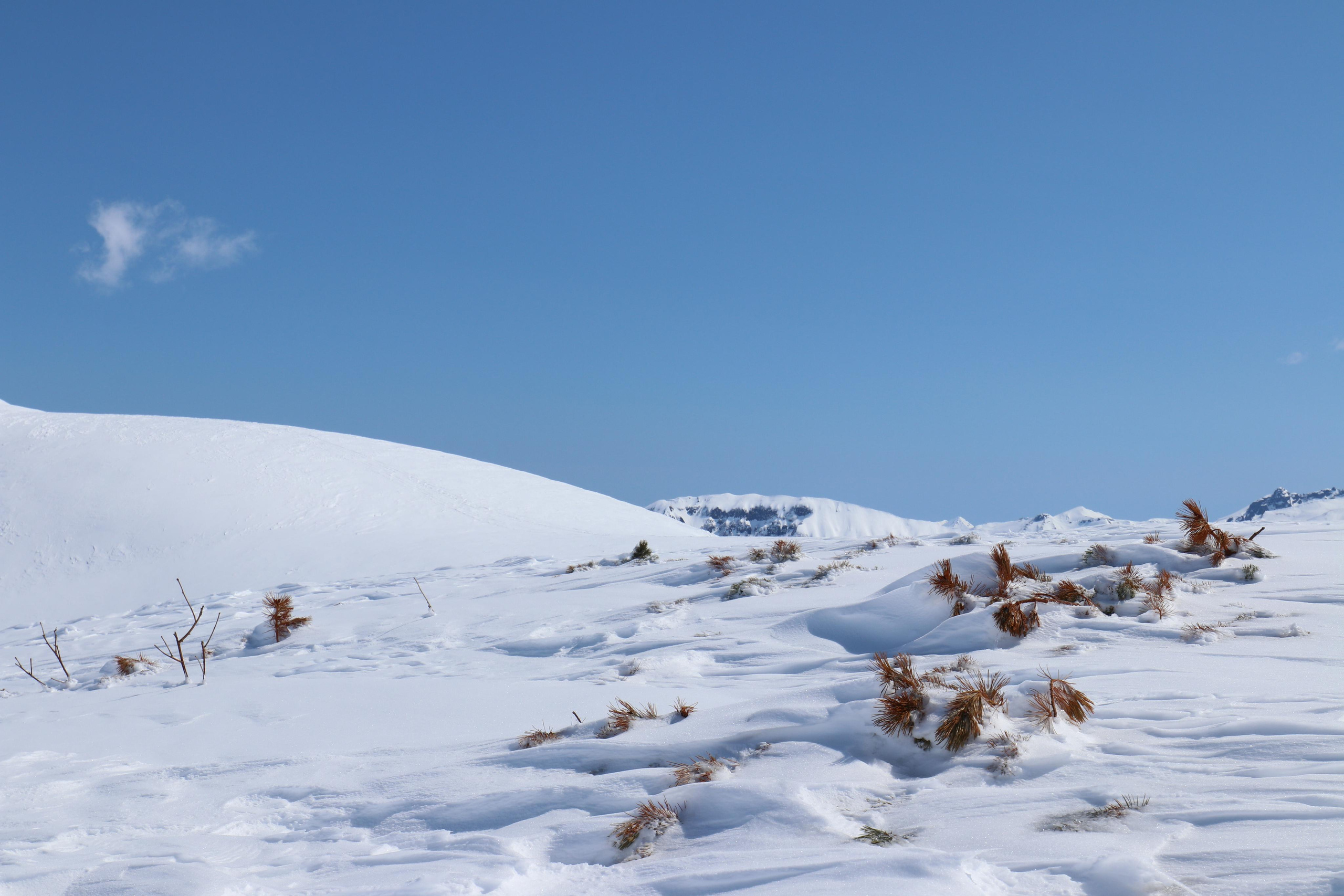 Камчатка. Май 2017. Путешественник-фотограф из Санкт-Петербурга Татьяна Свистулина