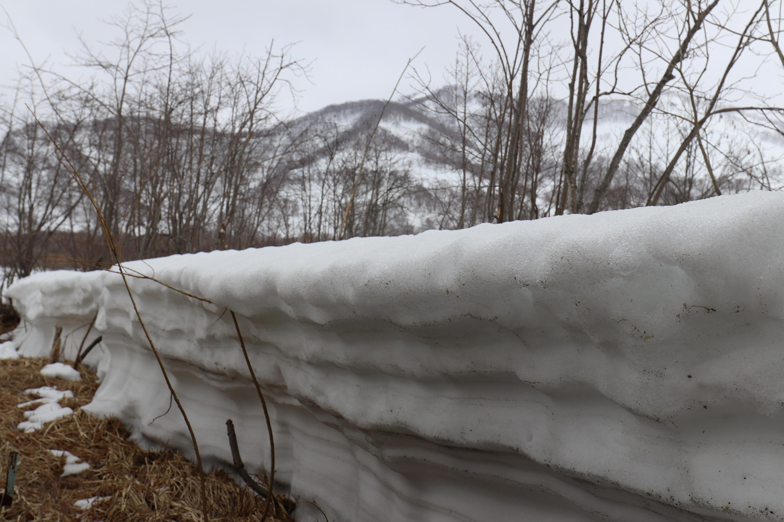 Камчатка. Май 2017. Путешественник-фотограф из Санкт-Петербурга Татьяна Свистулина