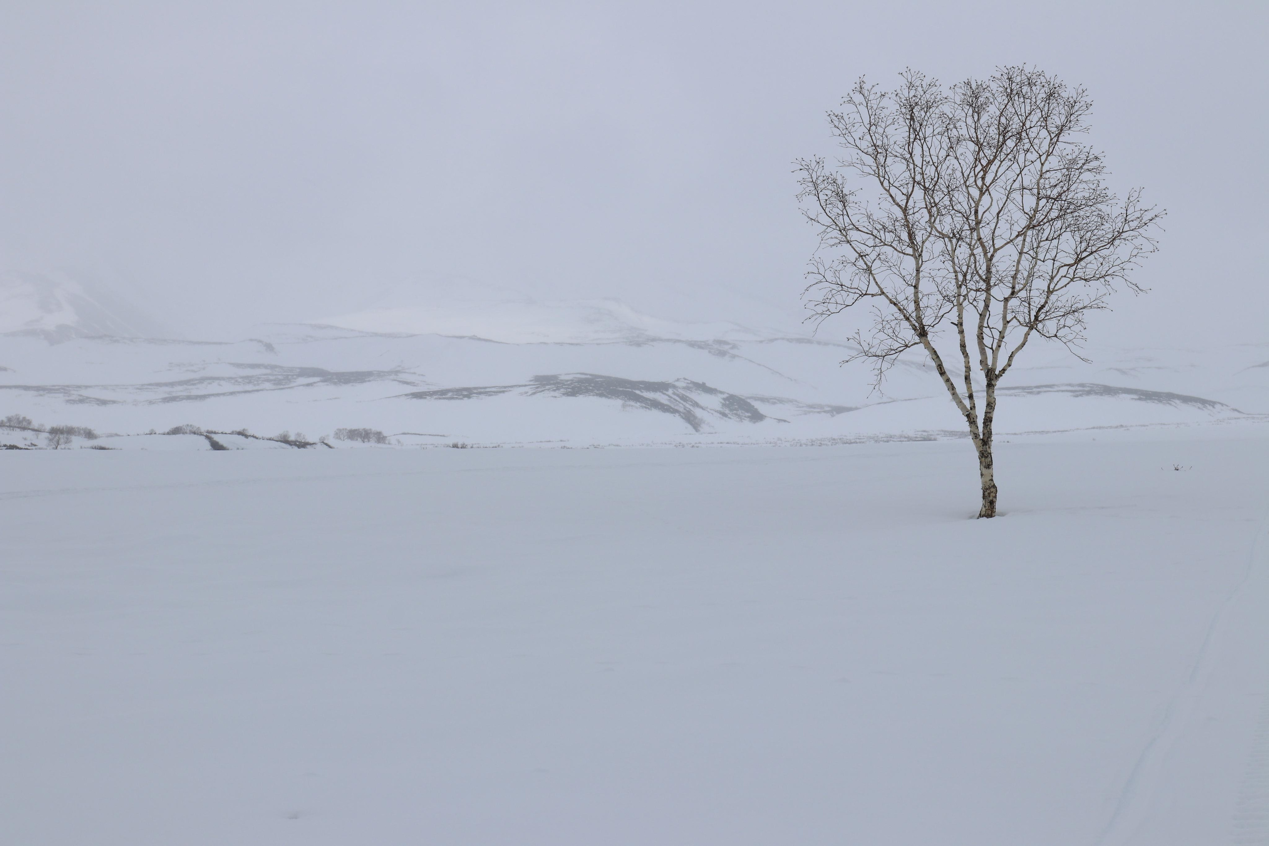 Минимализм