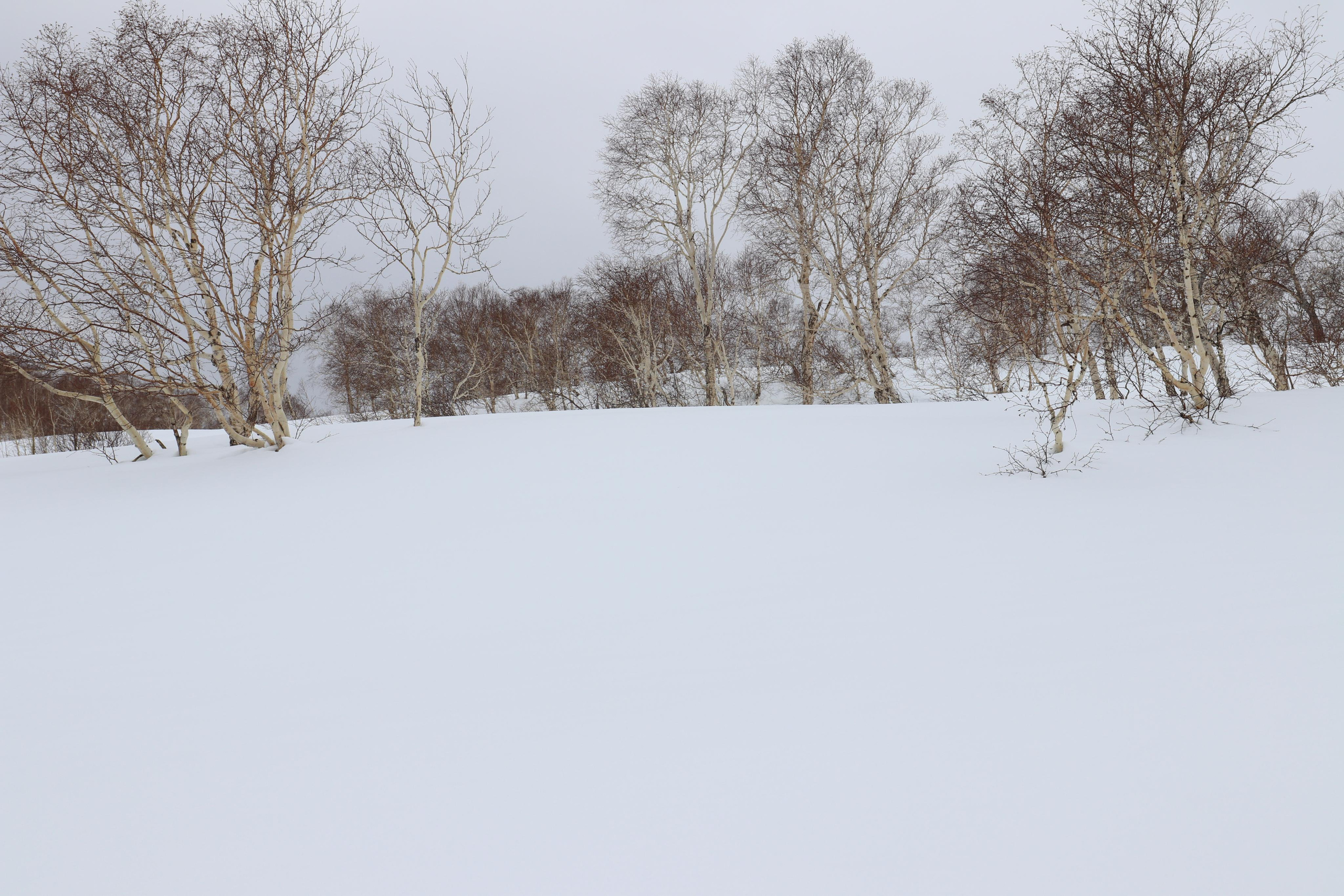 Камчатка. Май 2017. Путешественник-фотограф из Санкт-Петербурга Татьяна Свистулина