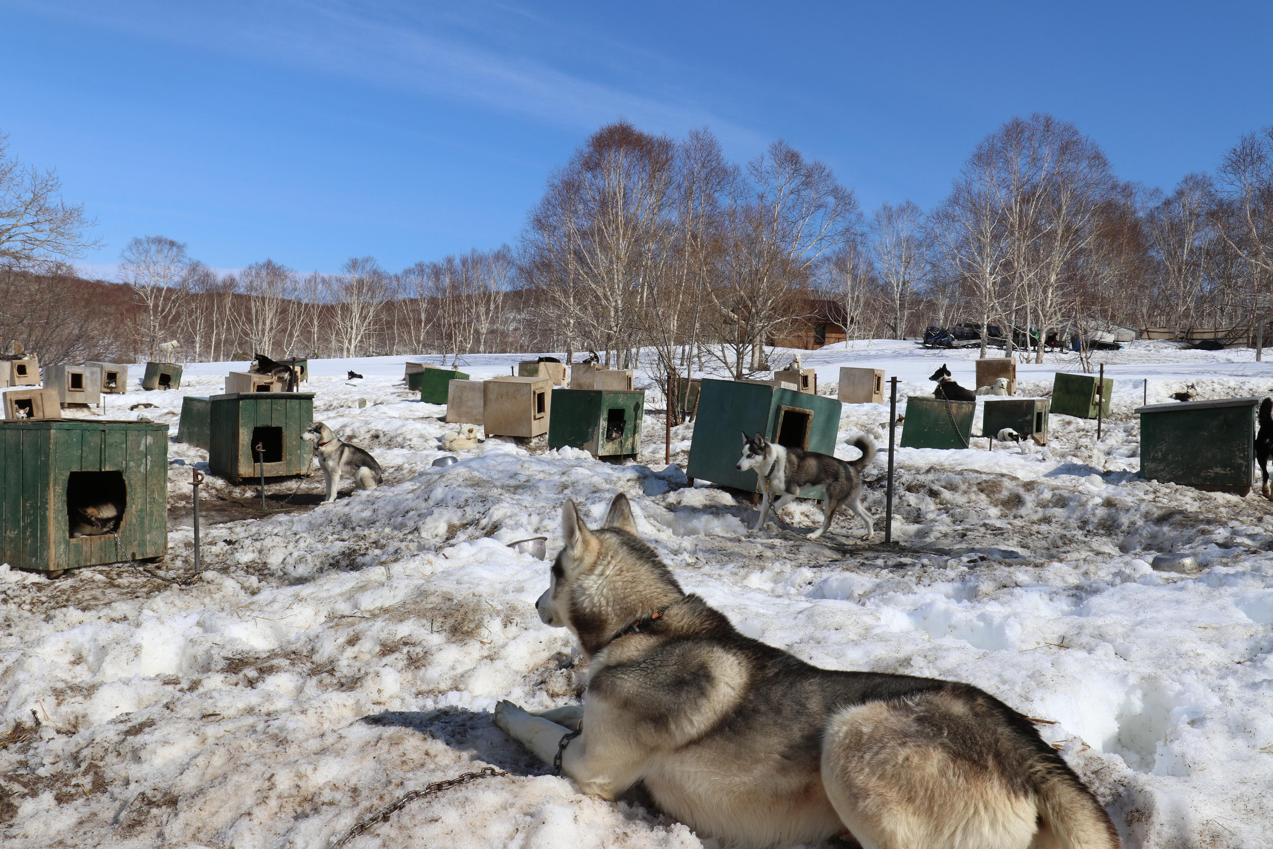 Камчатка. Май 2017. Путешественник-фотограф из Санкт-Петербурга Татьяна Свистулина