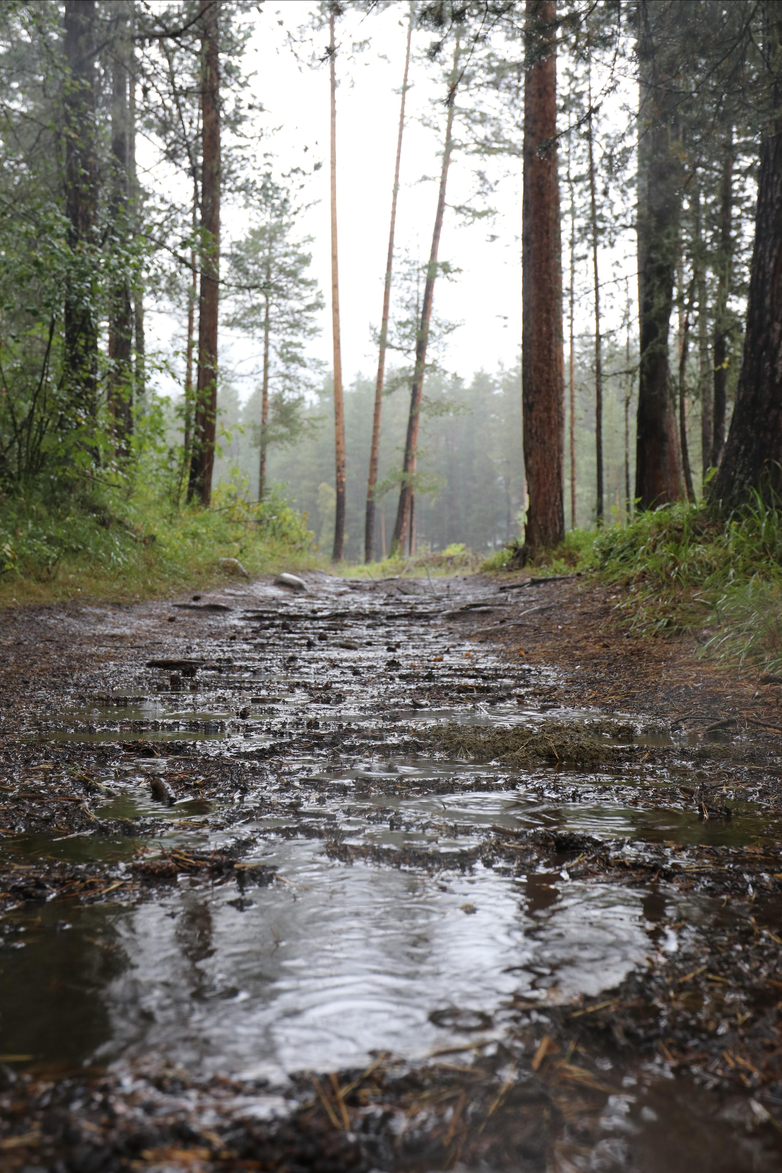 Приэльбрусье. Путешественник-фотограф из Санкт-Петербурга Татьяна Свистулина