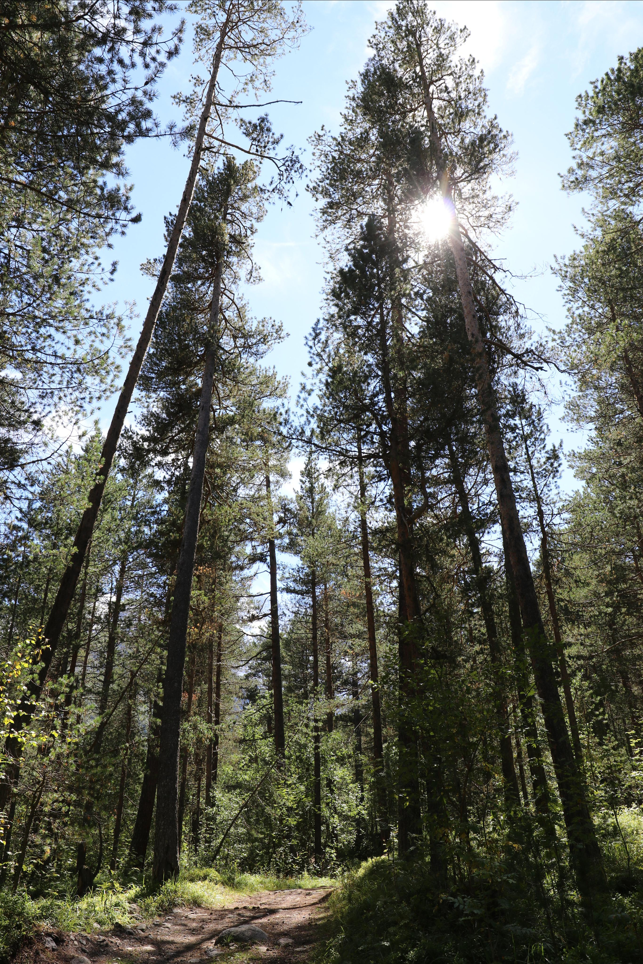 Приэльбрусье. Путешественник-фотограф из Санкт-Петербурга Татьяна Свистулина