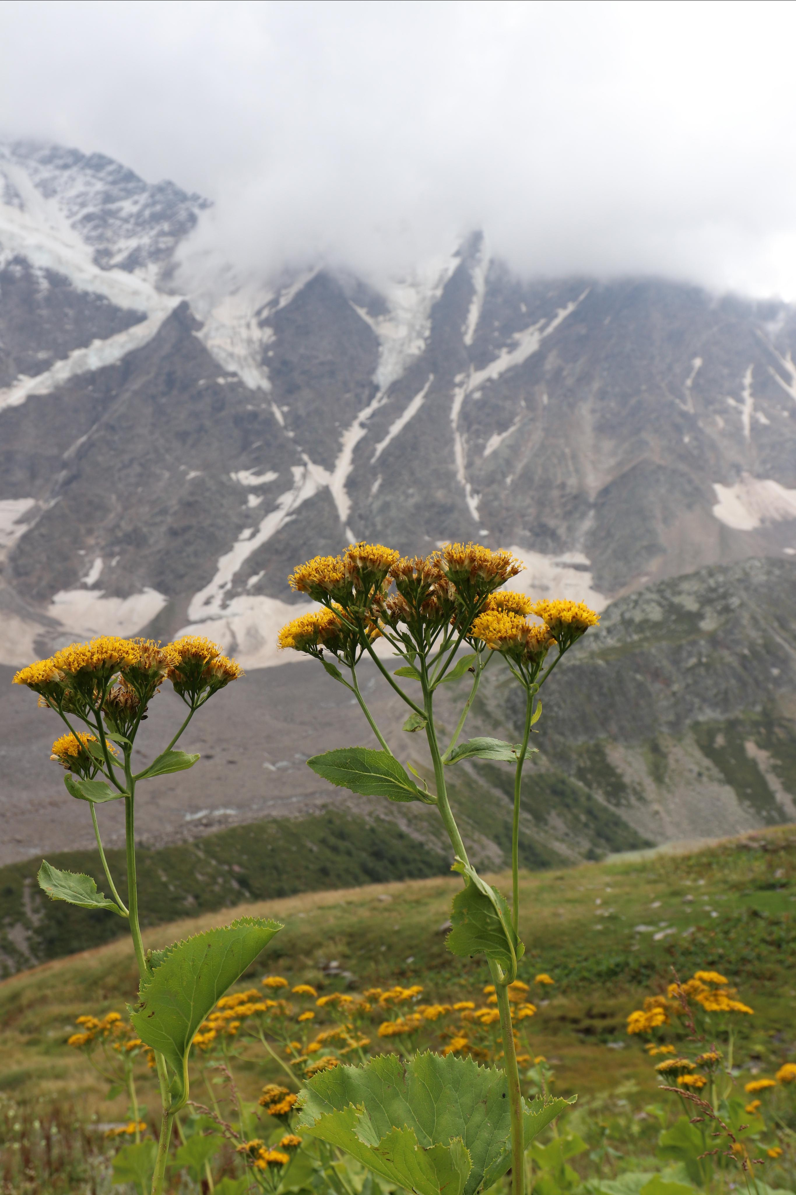 Приэльбрусье. Путешественник-фотограф из Санкт-Петербурга Татьяна Свистулина