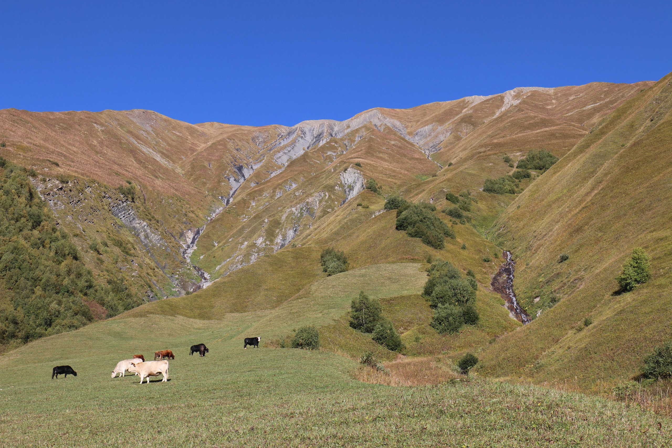 Грузия. Сванетия. Путешественник-фотограф из Санкт-Петербурга Татьяна Свистулина