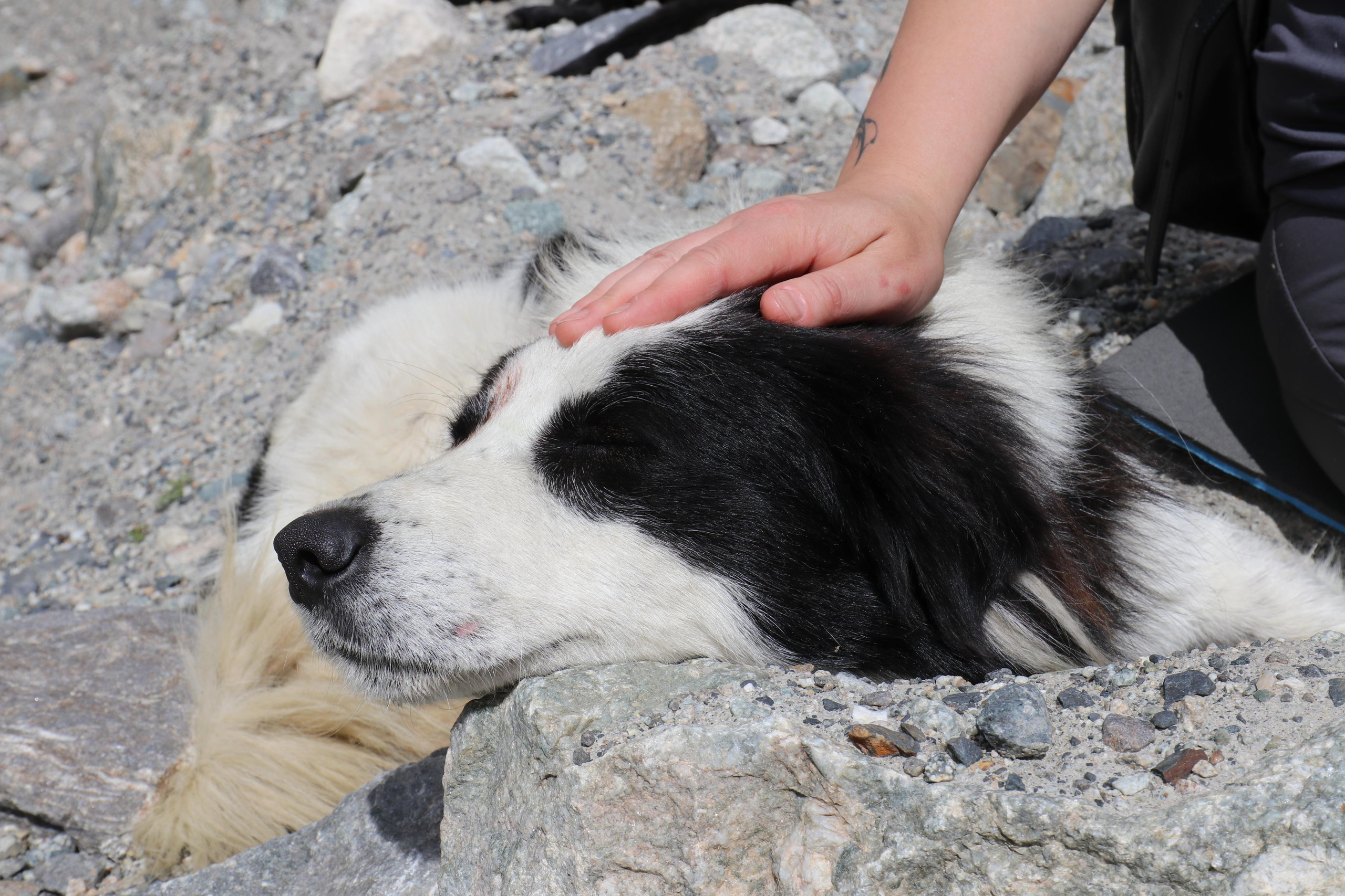 Грузия. Сванетия. Путешественник-фотограф из Санкт-Петербурга Татьяна Свистулина