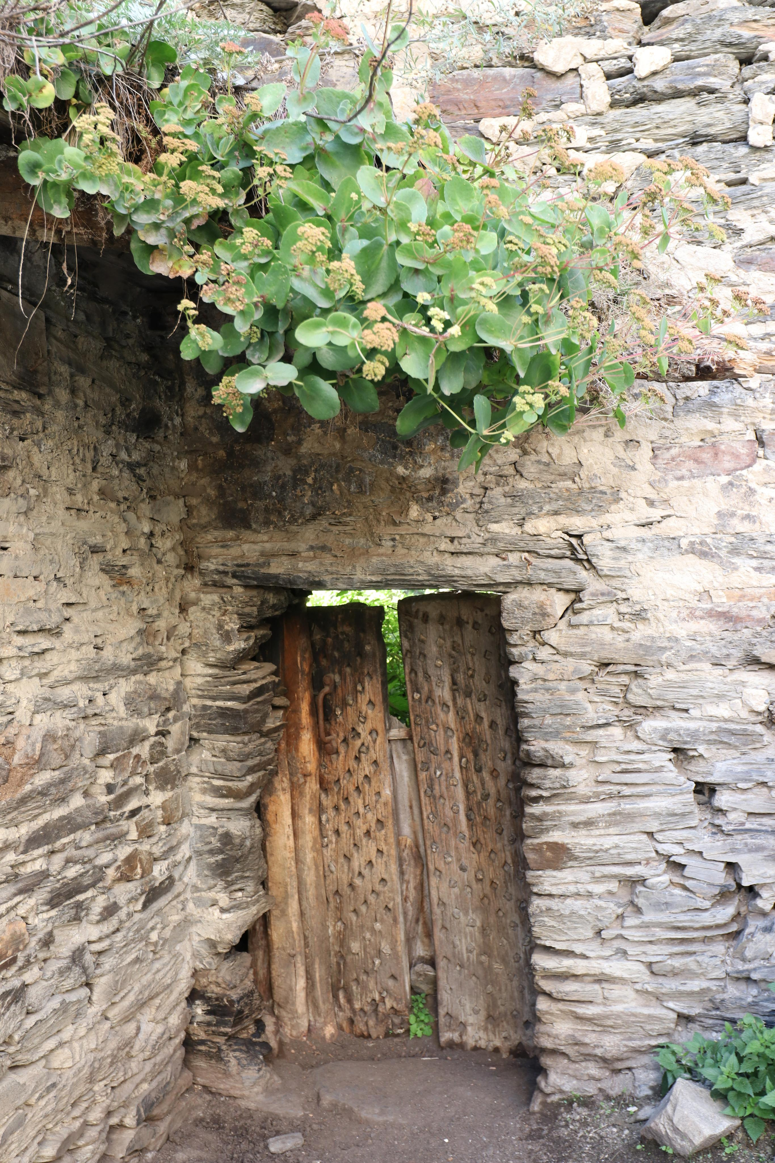 Грузия. Сванетия. Путешественник-фотограф из Санкт-Петербурга Татьяна Свистулина