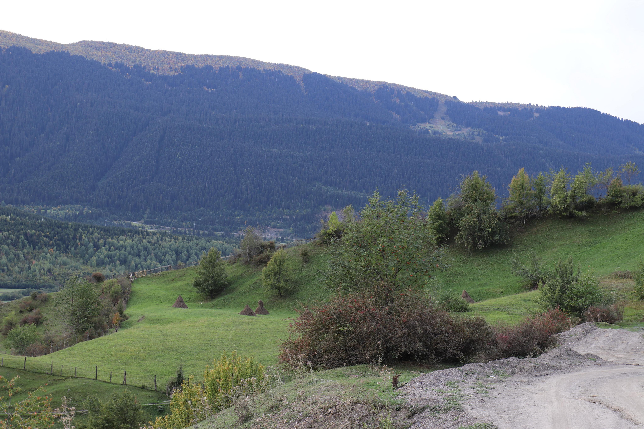 Грузия. Сванетия. Путешественник-фотограф из Санкт-Петербурга Татьяна Свистулина