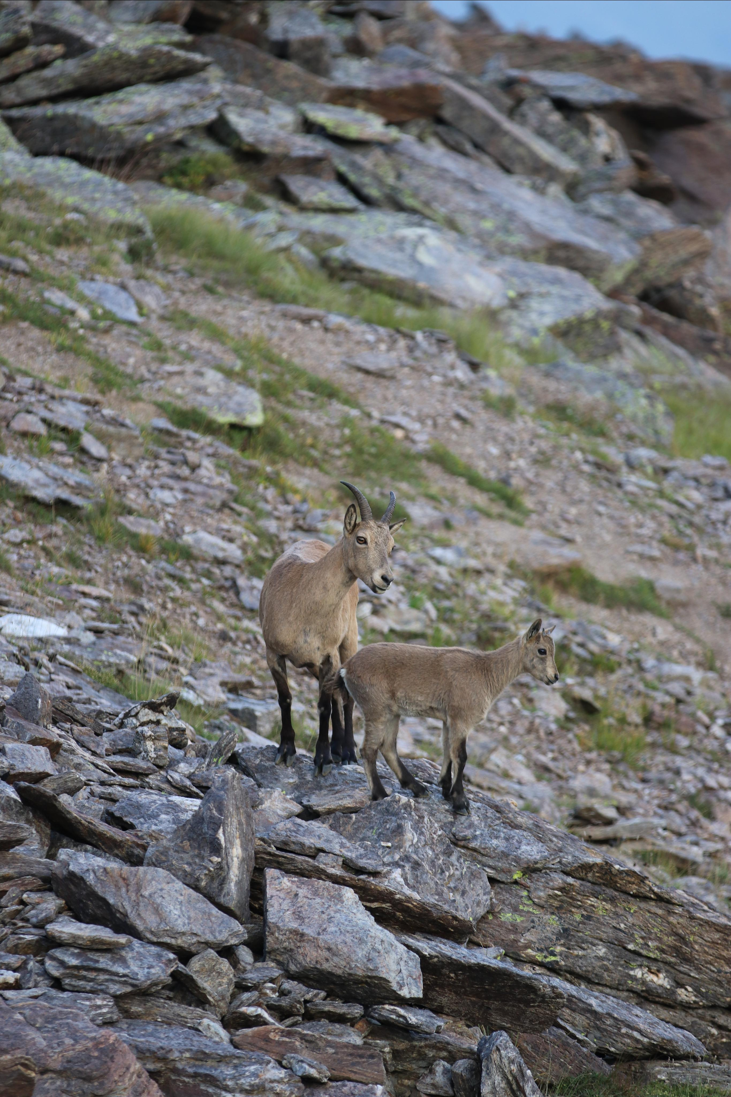 Приэльбрусье. Путешественник-фотограф из Санкт-Петербурга Татьяна Свистулина