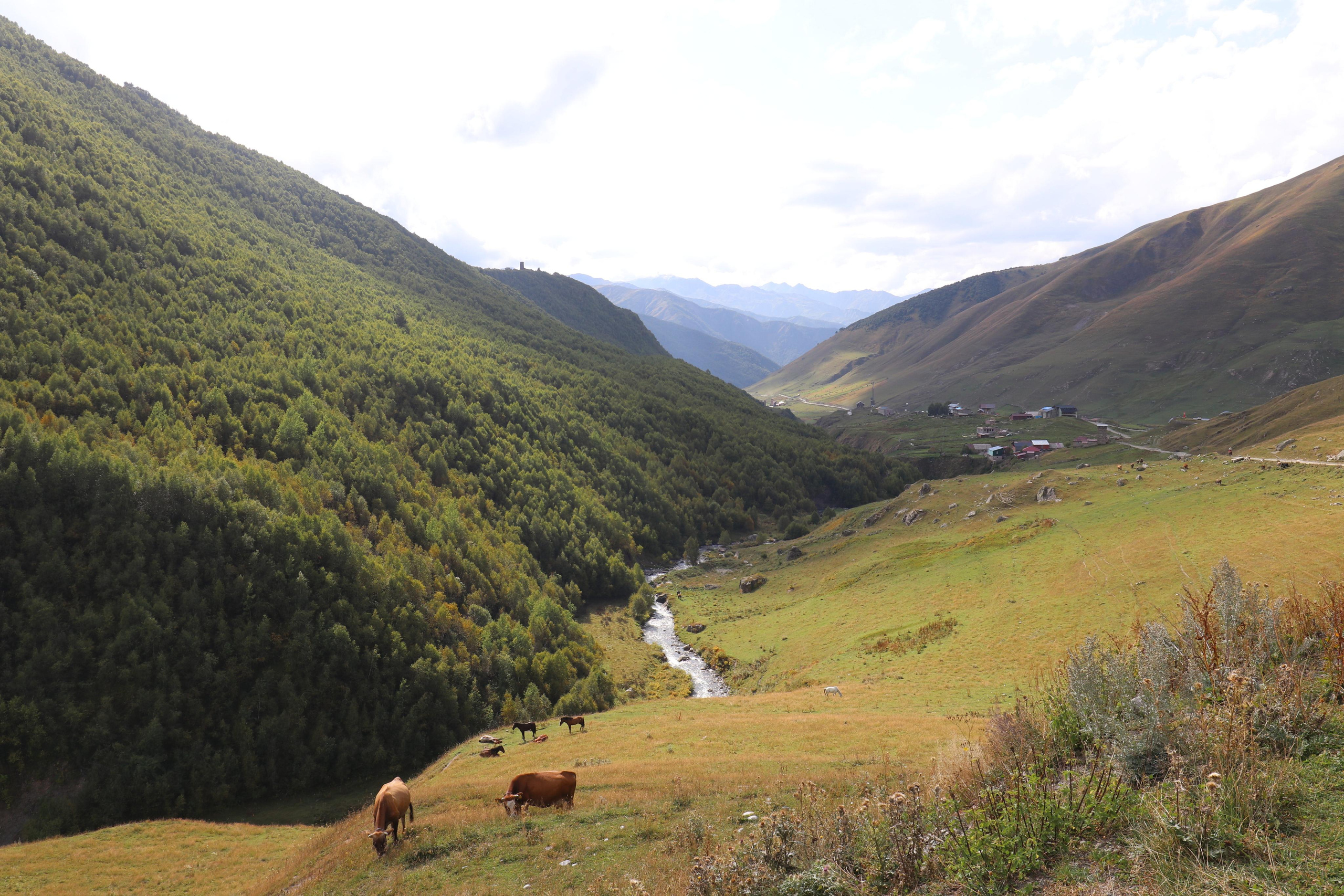 Грузия. Сванетия. Путешественник-фотограф из Санкт-Петербурга Татьяна Свистулина