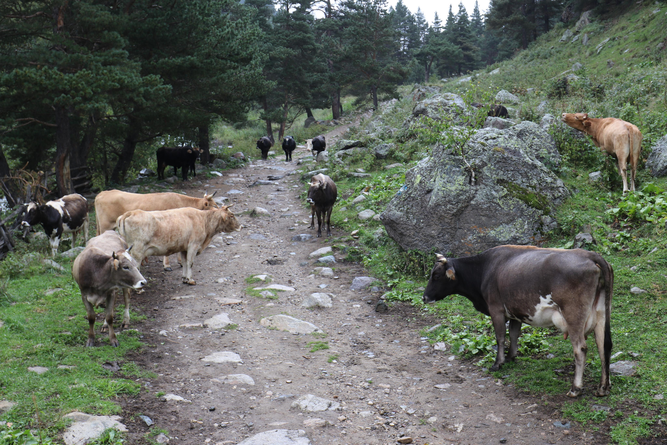 Приэльбрусье. Путешественник-фотограф из Санкт-Петербурга Татьяна Свистулина