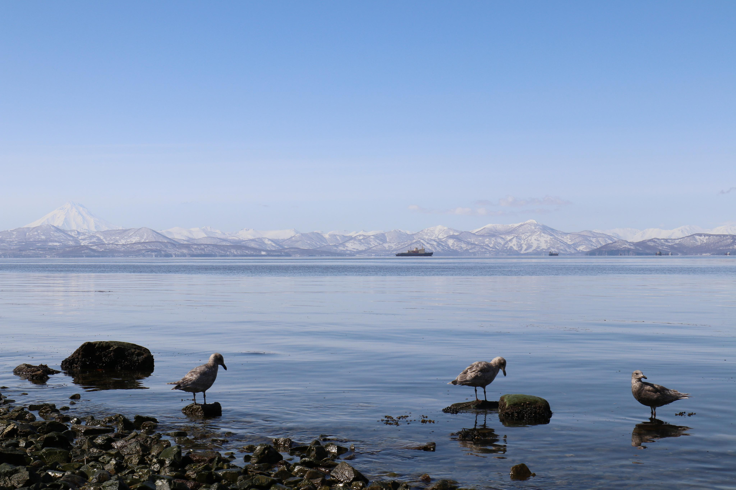 Камчатка. Май 2017. Путешественник-фотограф из Санкт-Петербурга Татьяна Свистулина