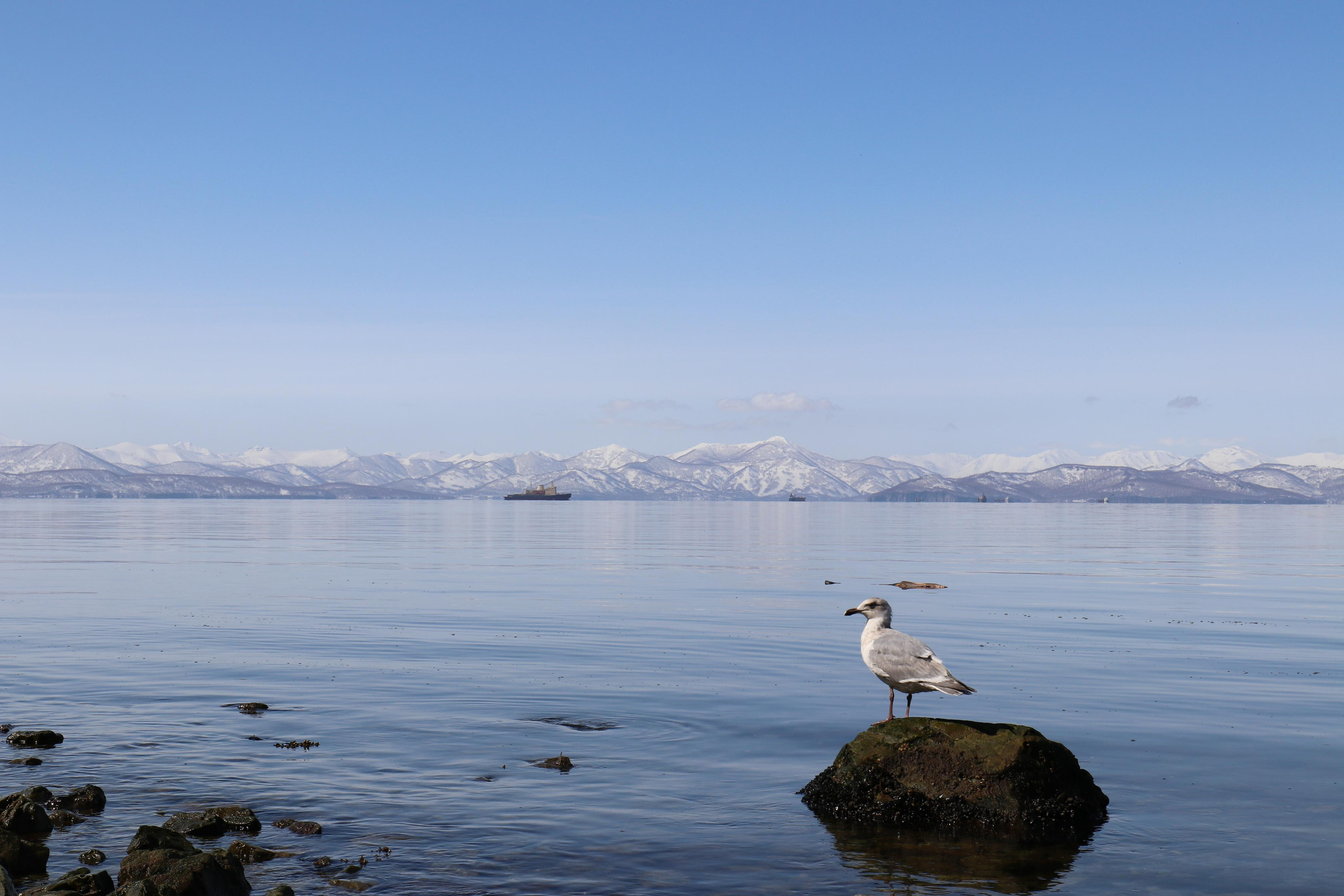 Камчатка. Май 2017. Путешественник-фотограф из Санкт-Петербурга Татьяна Свистулина
