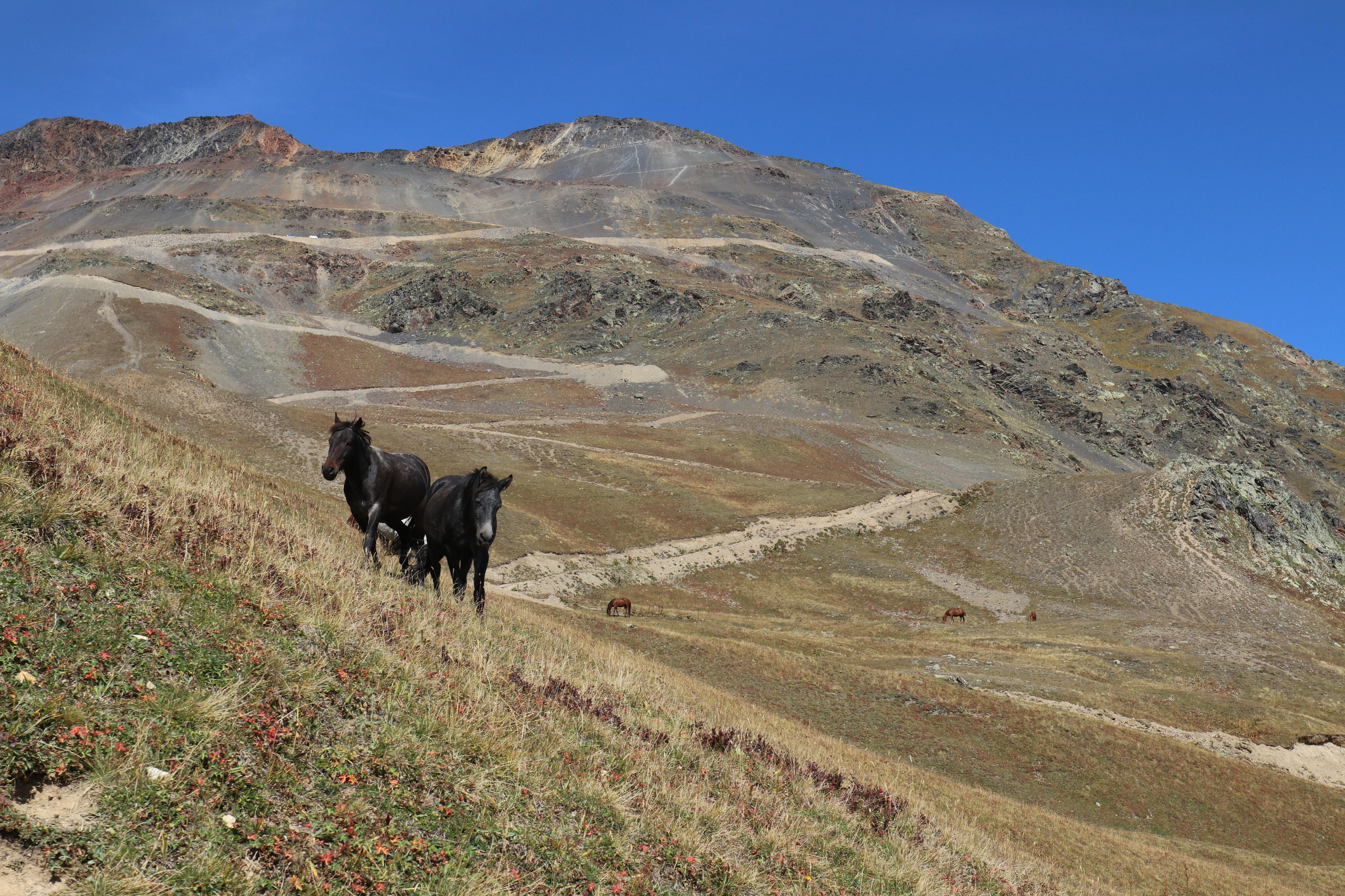 Грузия. Сванетия. Путешественник-фотограф из Санкт-Петербурга Татьяна Свистулина
