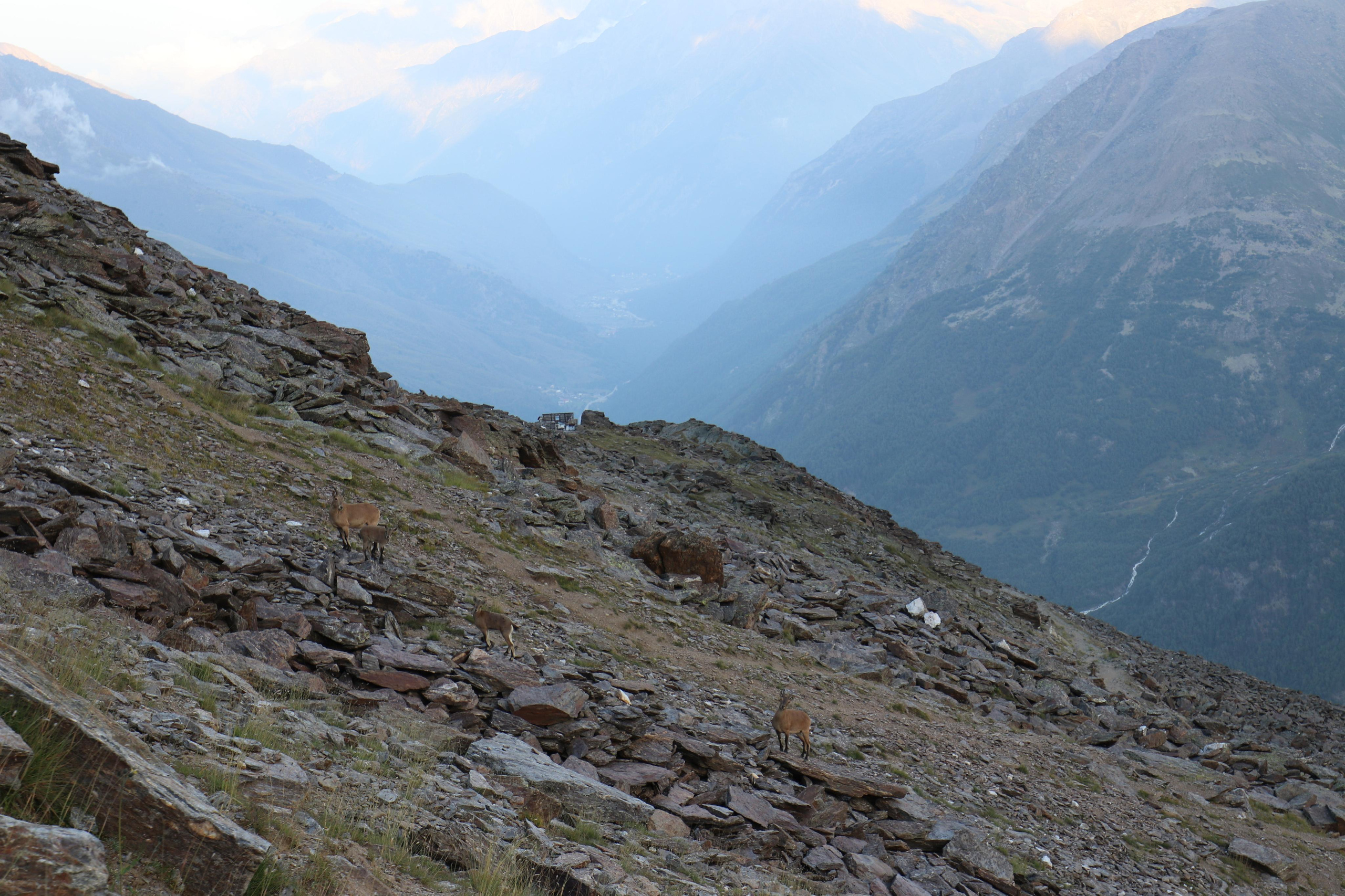 Приэльбрусье. Путешественник-фотограф из Санкт-Петербурга Татьяна Свистулина
