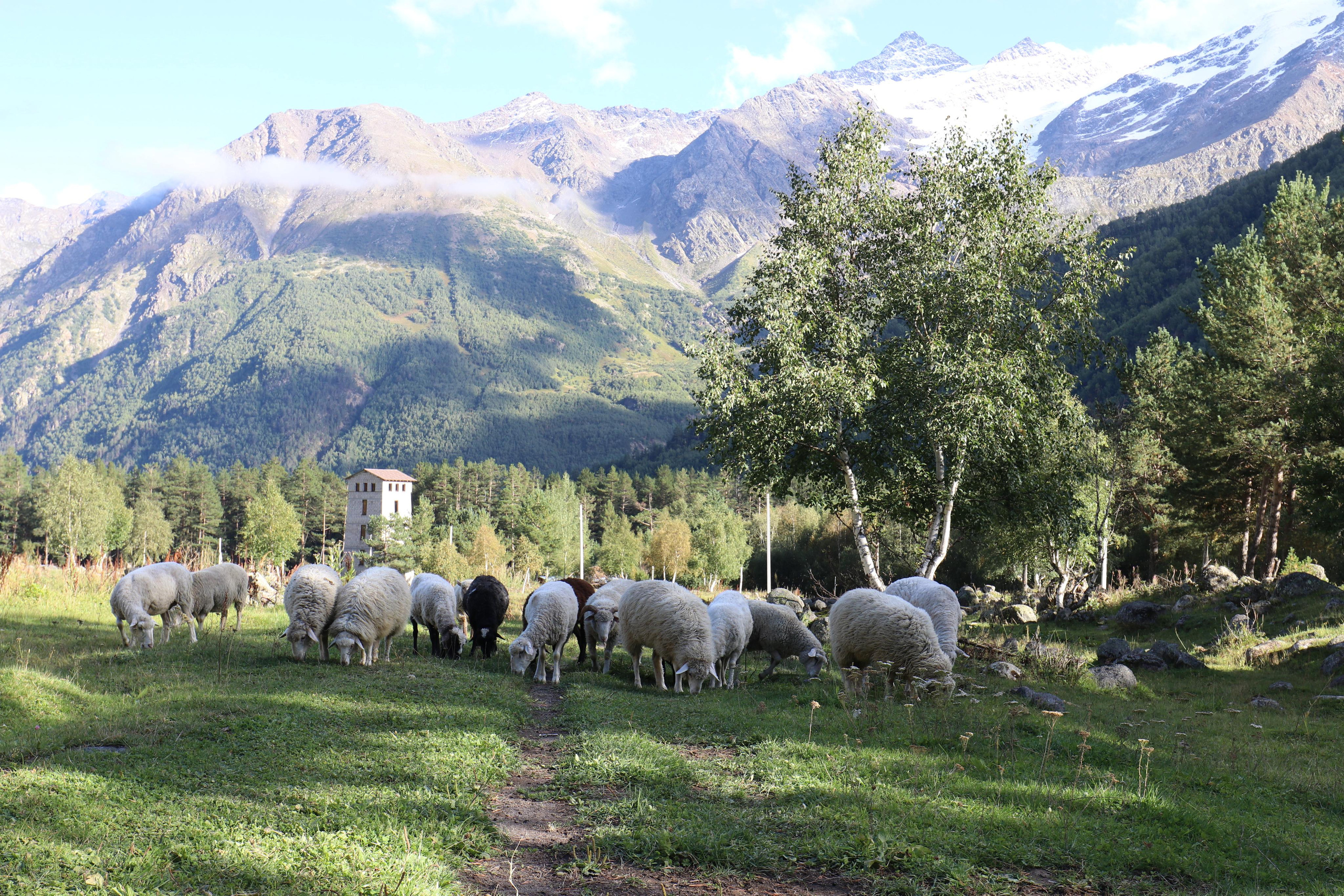 Приэльбрусье. Путешественник-фотограф из Санкт-Петербурга Татьяна Свистулина