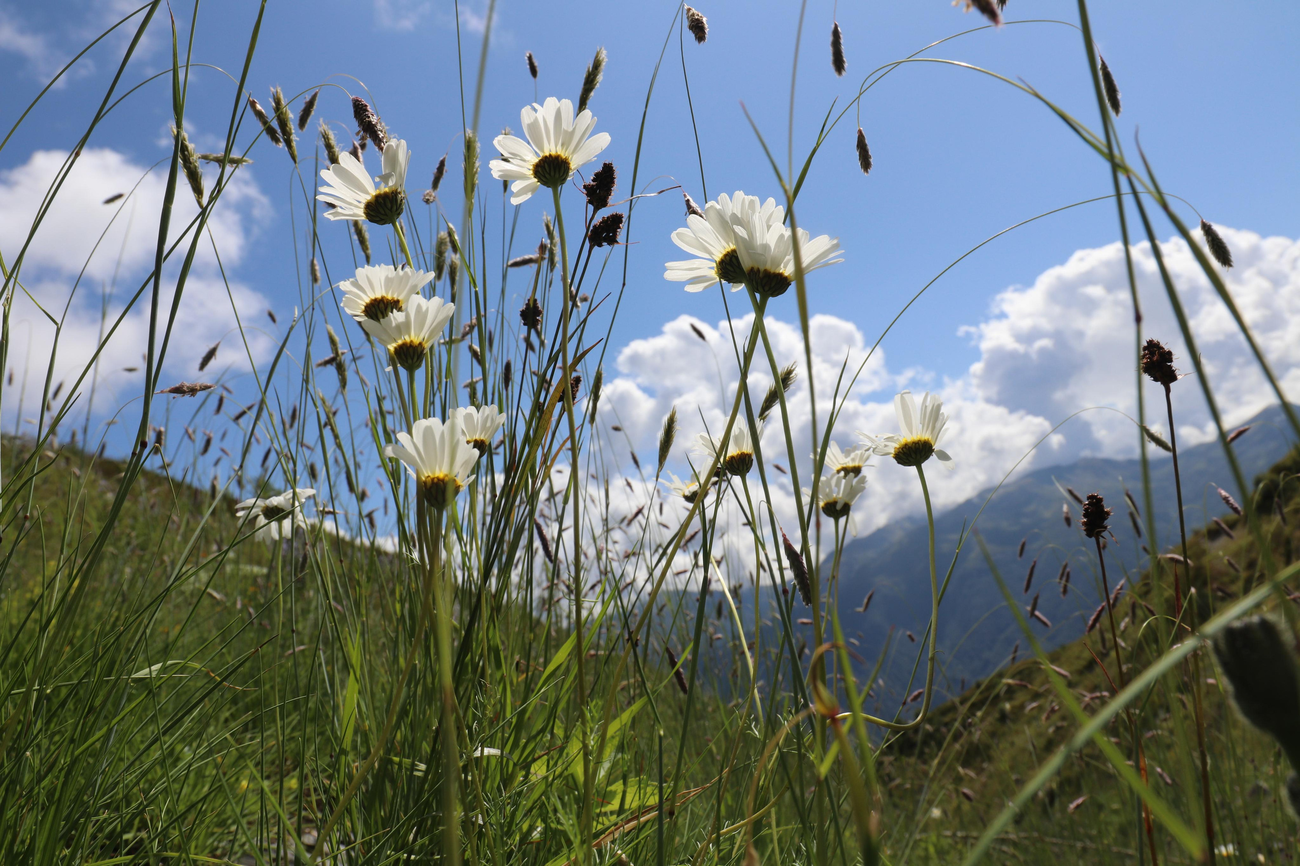 Грузия. Сванетия. Путешественник-фотограф из Санкт-Петербурга Татьяна Свистулина