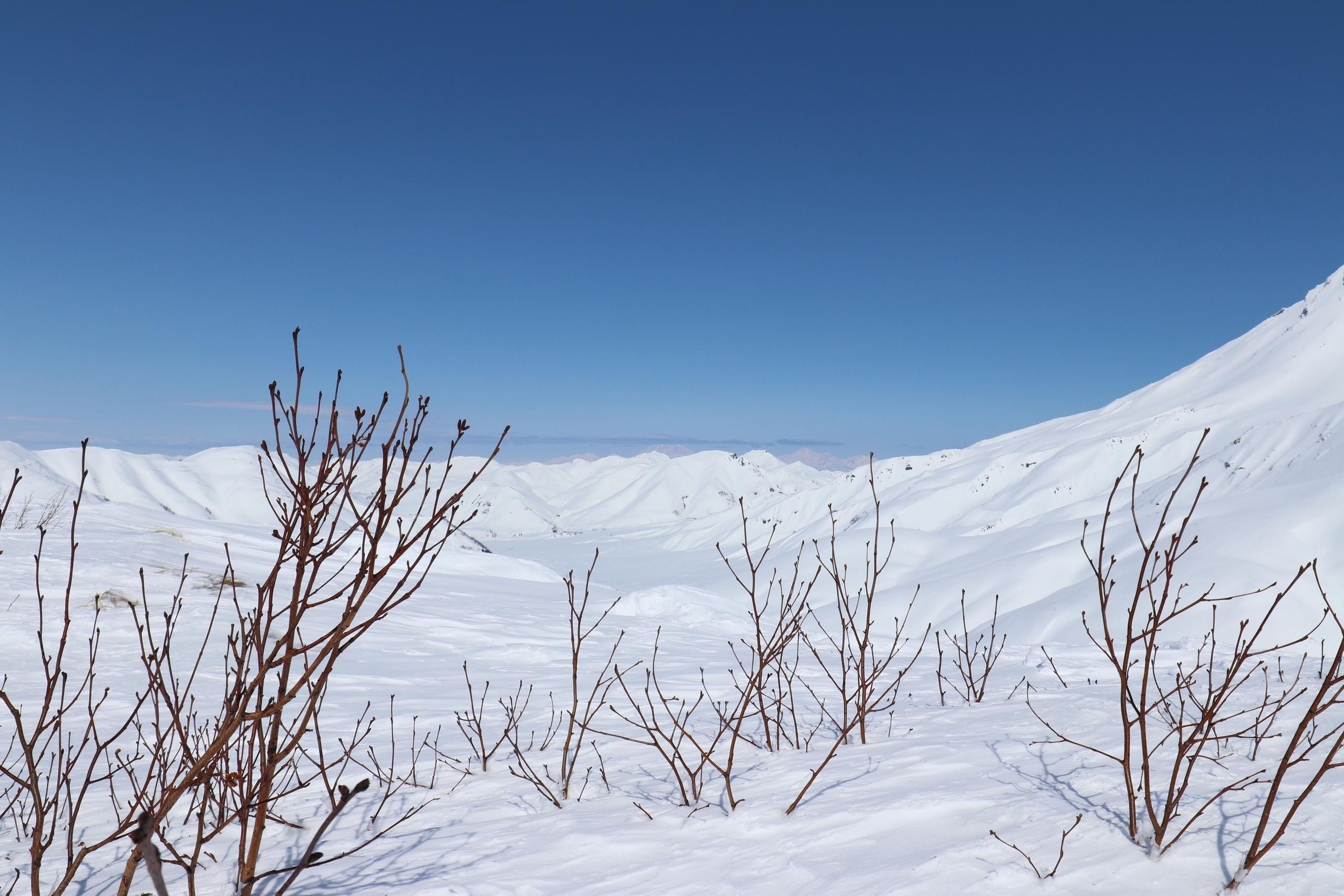 Камчатка. Май 2017. Путешественник-фотограф из Санкт-Петербурга Татьяна Свистулина