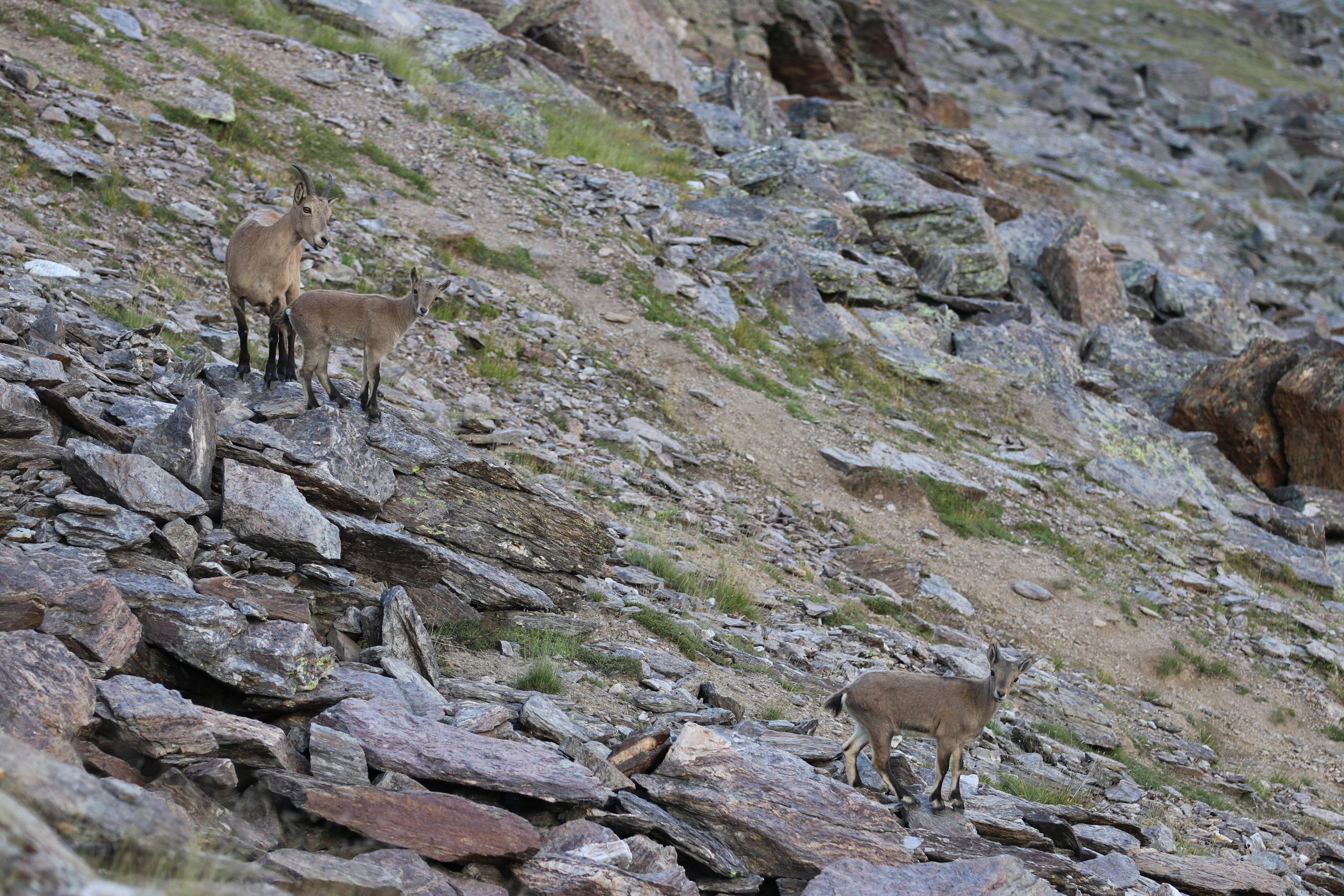 Приэльбрусье. Путешественник-фотограф из Санкт-Петербурга Татьяна Свистулина