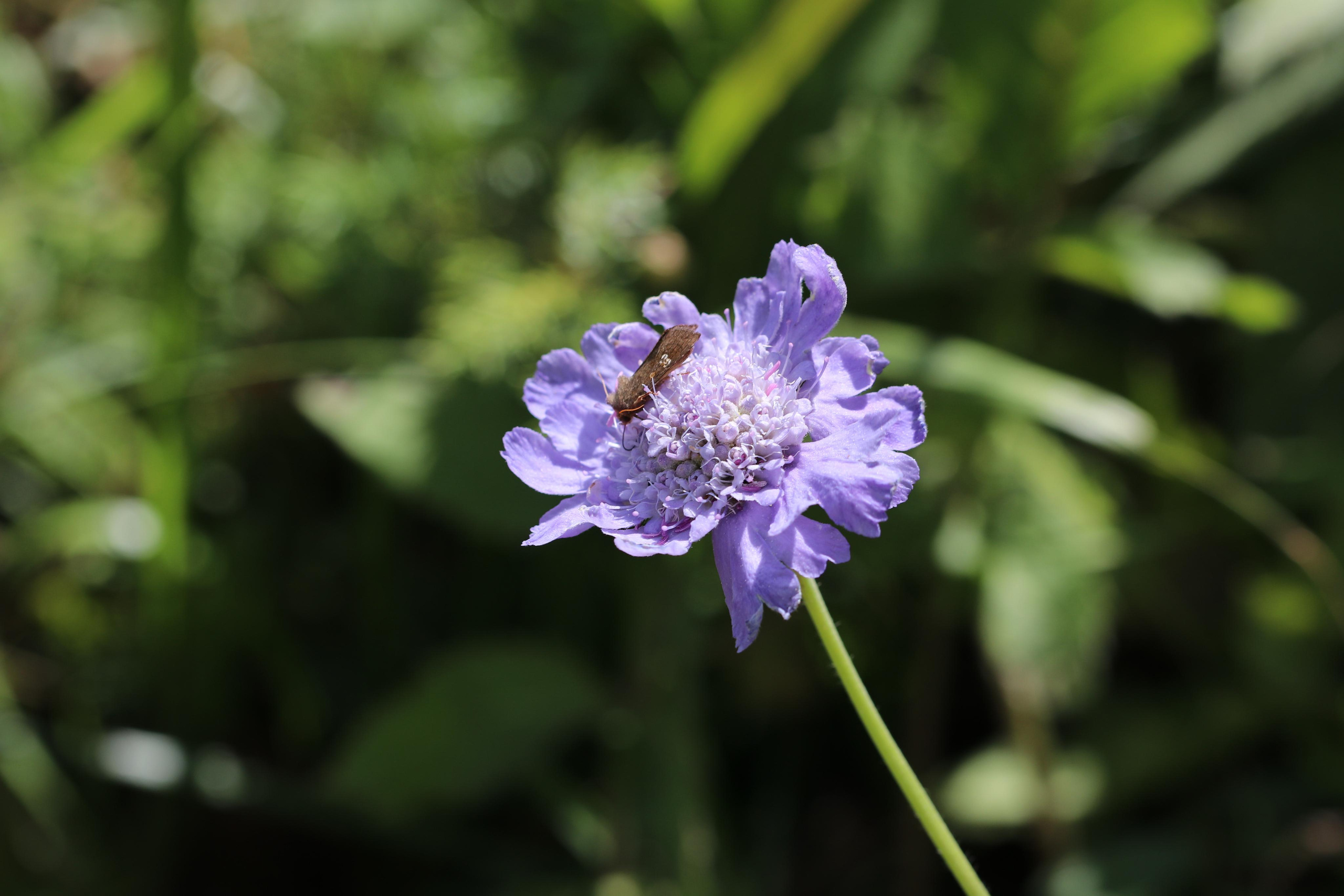 Приэльбрусье. Путешественник-фотограф из Санкт-Петербурга Татьяна Свистулина