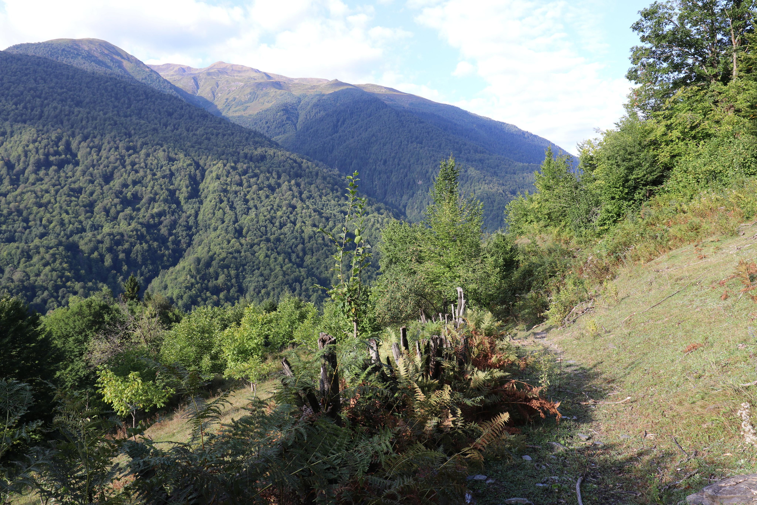 Грузия. Сванетия. Путешественник-фотограф из Санкт-Петербурга Татьяна Свистулина