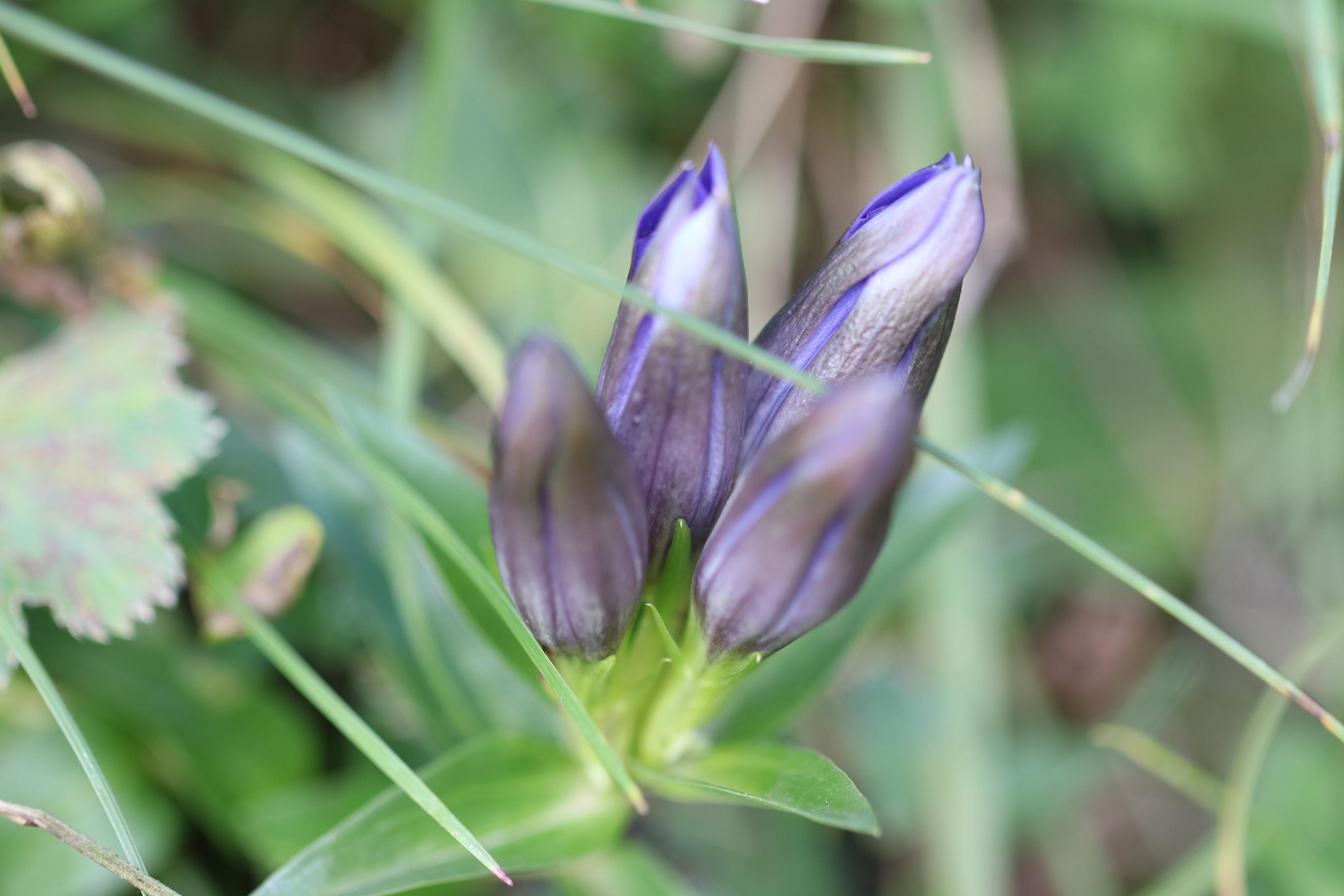 Приэльбрусье. Путешественник-фотограф из Санкт-Петербурга Татьяна Свистулина