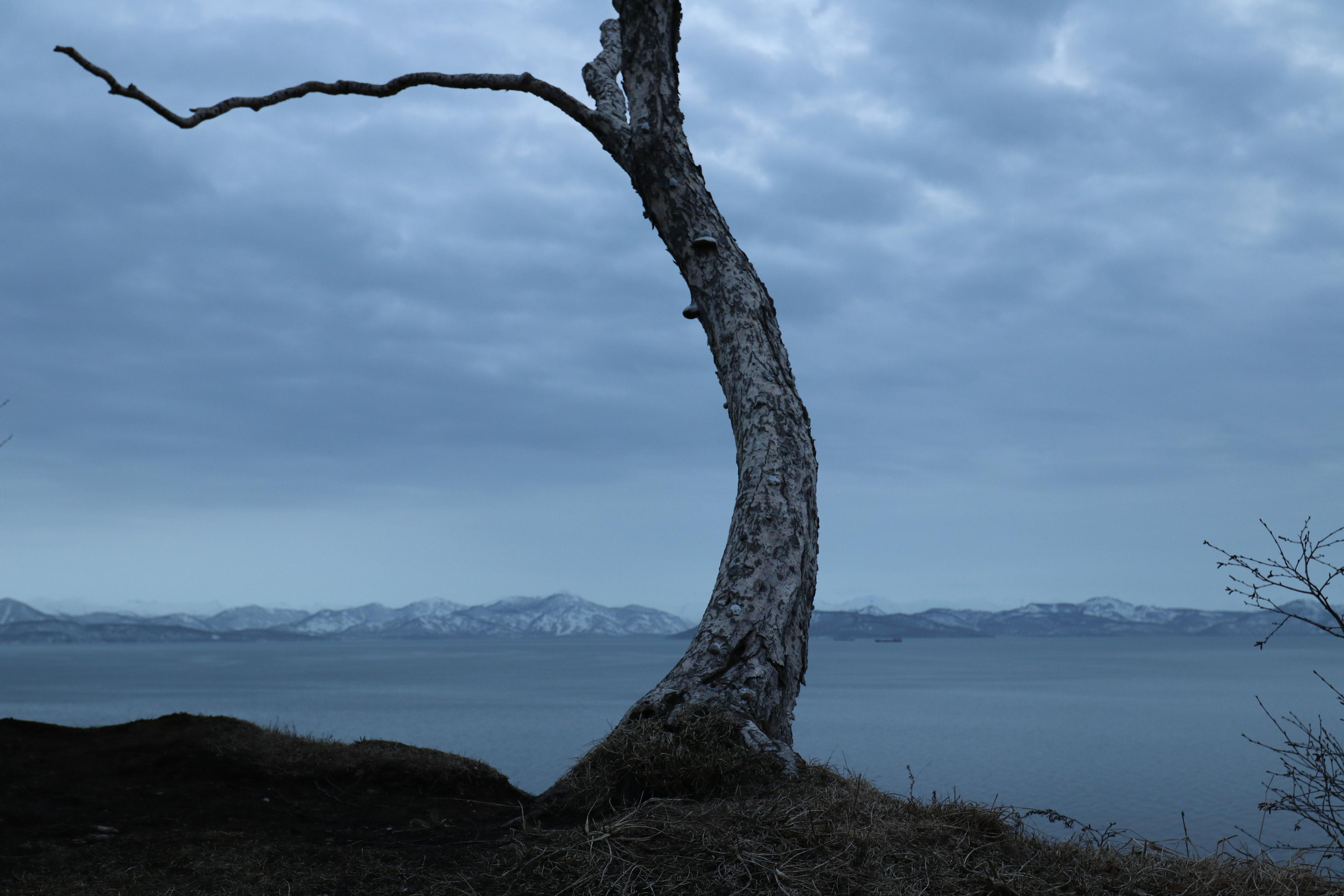Камчатка. Май 2017. Путешественник-фотограф из Санкт-Петербурга Татьяна Свистулина