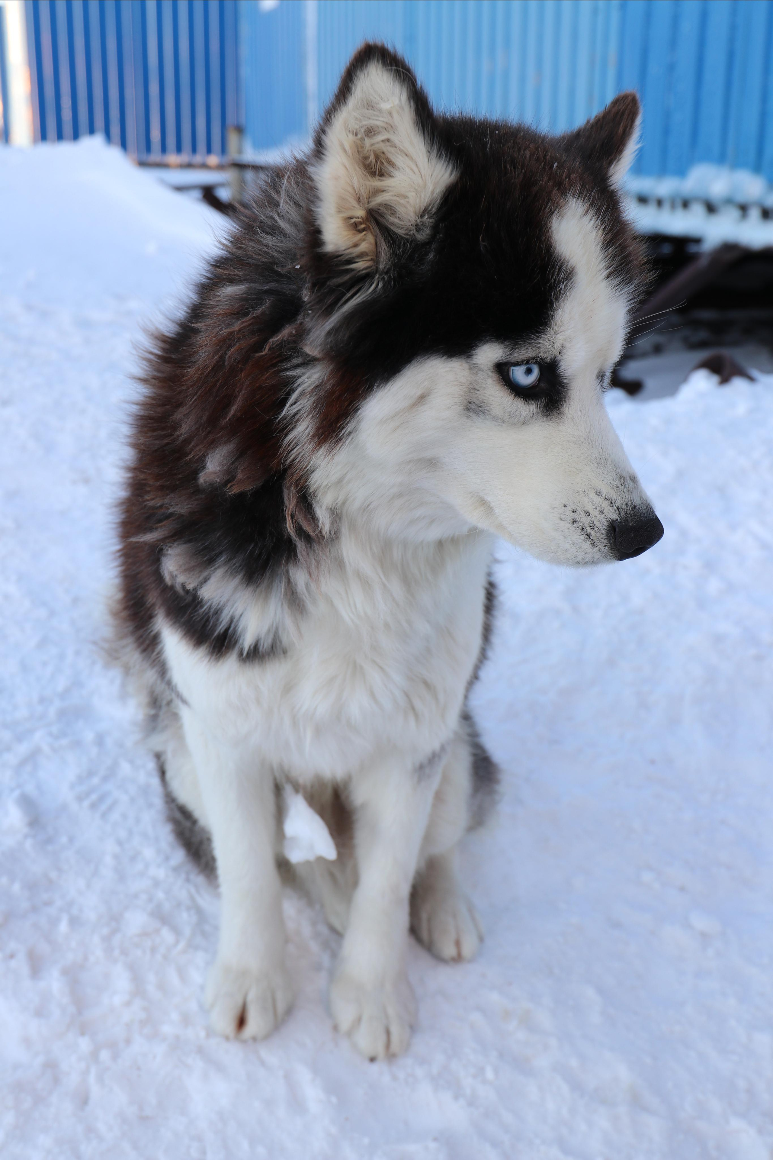 Приэльбрусье. Путешественник-фотограф из Санкт-Петербурга Татьяна Свистулина