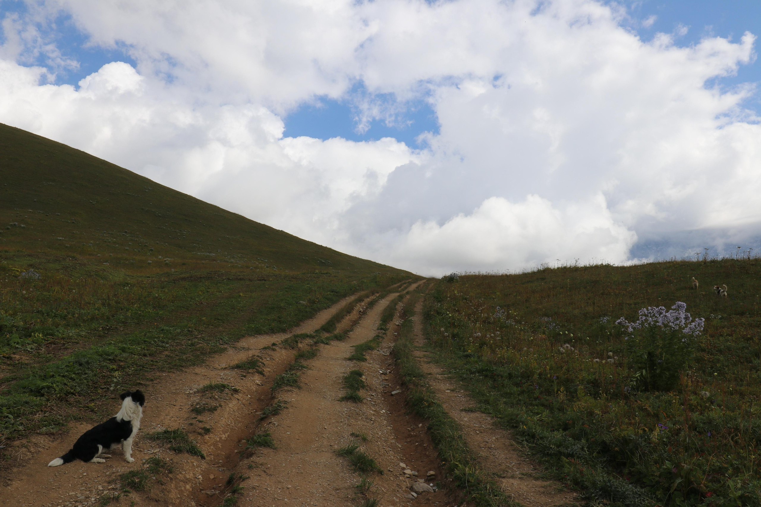 Грузия. Сванетия. Путешественник-фотограф из Санкт-Петербурга Татьяна Свистулина