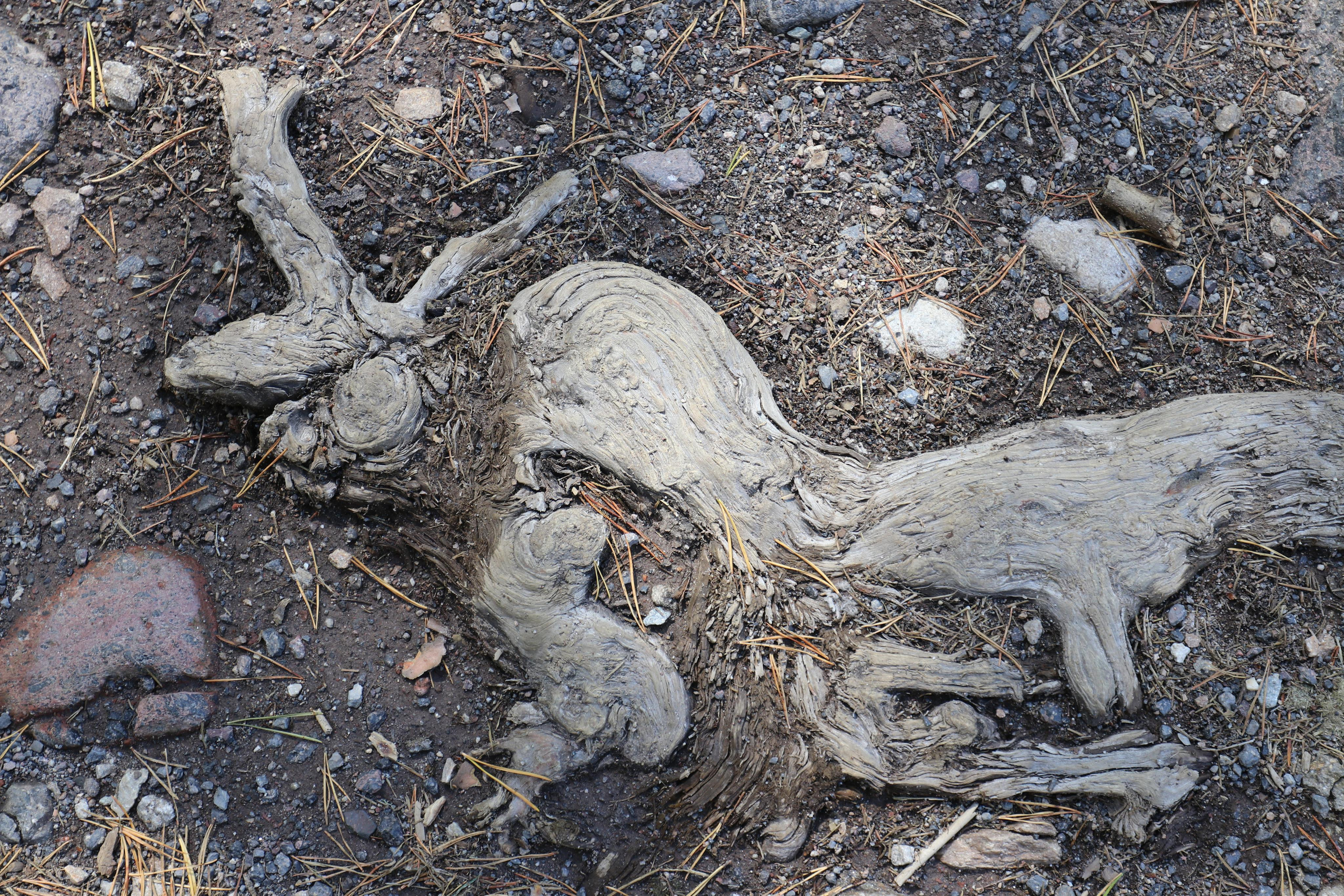 Приэльбрусье. Путешественник-фотограф из Санкт-Петербурга Татьяна Свистулина