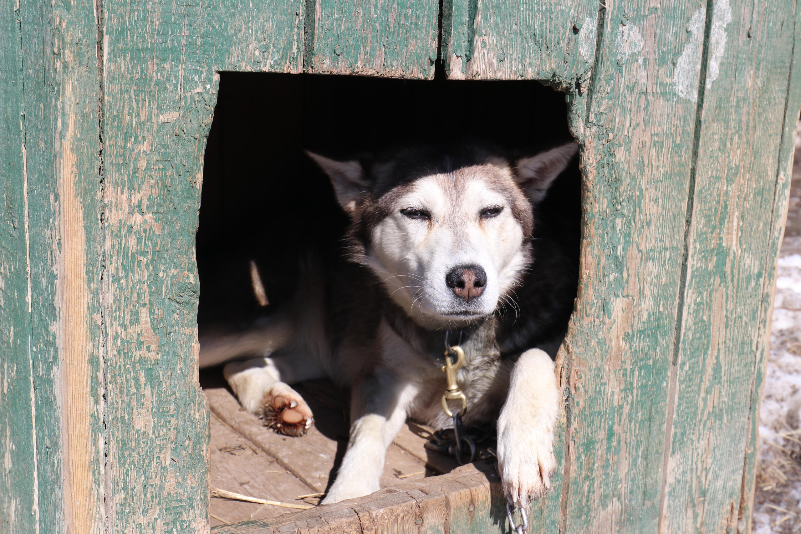 Камчатка. Май 2017. Путешественник-фотограф из Санкт-Петербурга Татьяна Свистулина