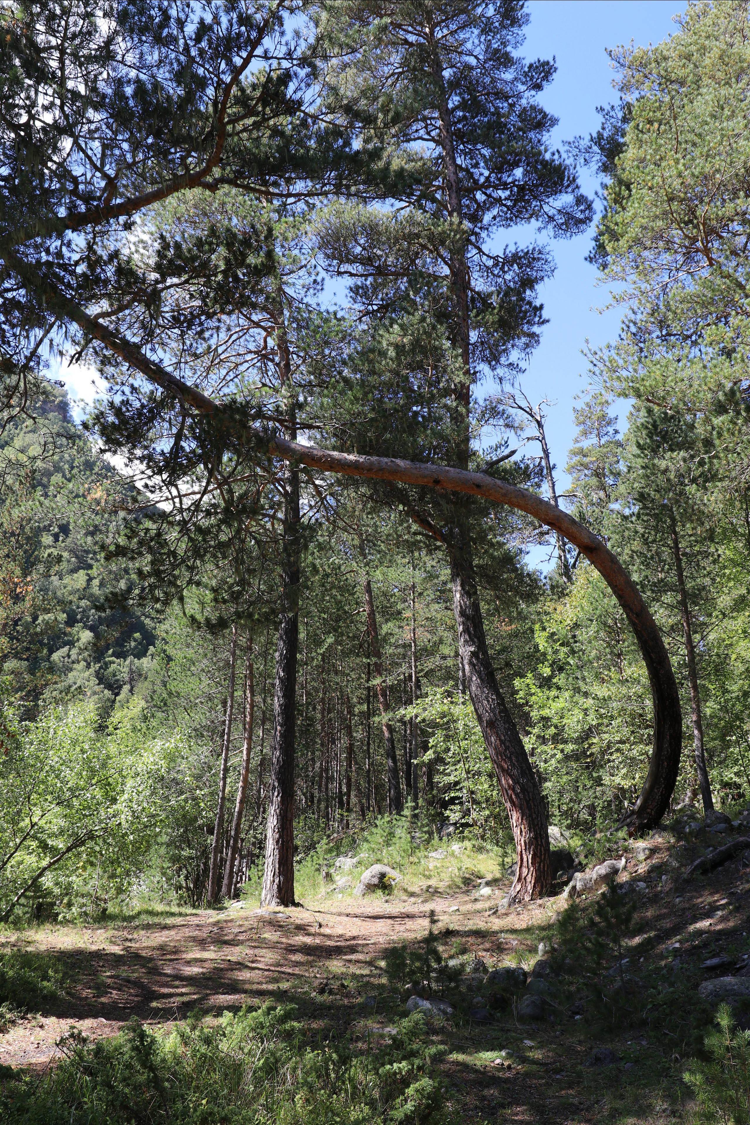 Приэльбрусье. Путешественник-фотограф из Санкт-Петербурга Татьяна Свистулина